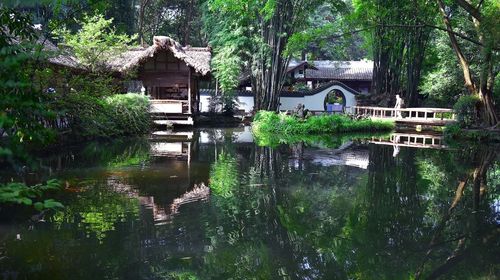 Du Fu Thatched Cottage