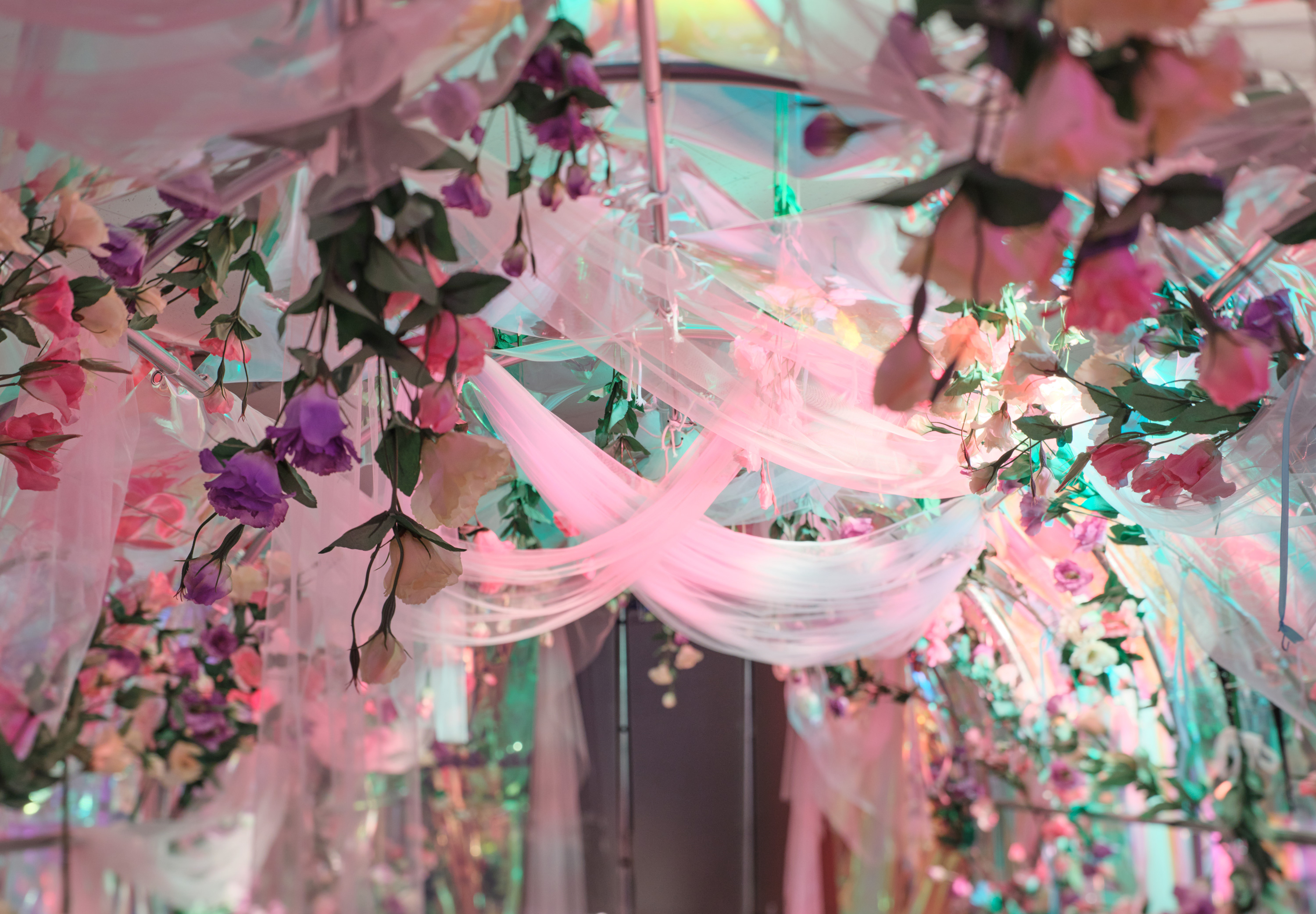 Floral Palette Life Photo Studio#5 Ticket in Seoul