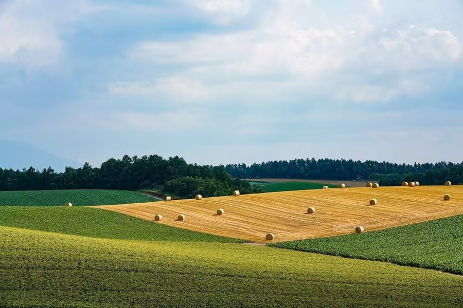 ✨拼布之路，把北海道鄉村、農田和天空連在一起，此時風恰好吹過，帶來了屬於北海道的故事。