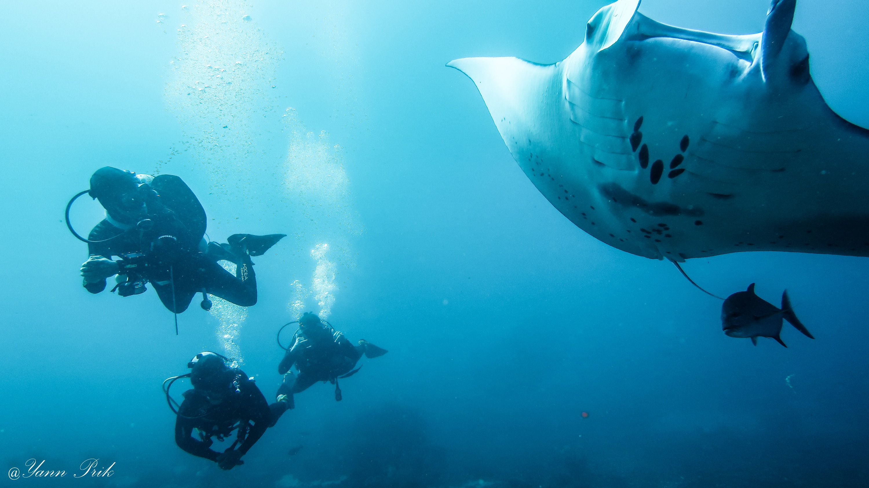 Discover Scuba Diving in Labuan Bajo by Dragon Dive Komodo