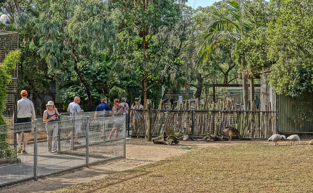 people inside Sydney Zoo