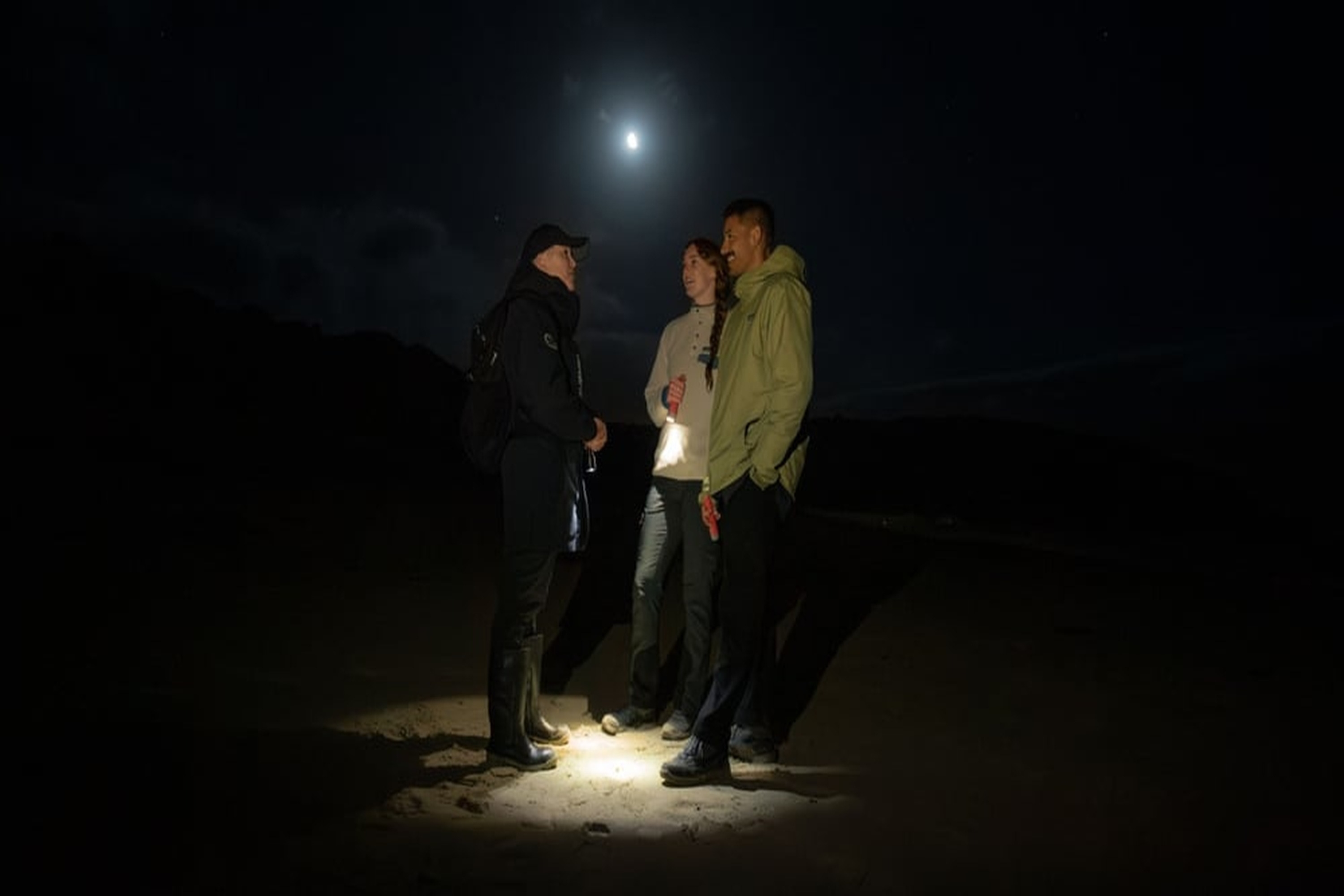在火炬的微光下，靜靜地穿梭於森林中，聆聽夜間鳥類的鳴叫，以及奇異鳥在黑暗中行走的腳步聲