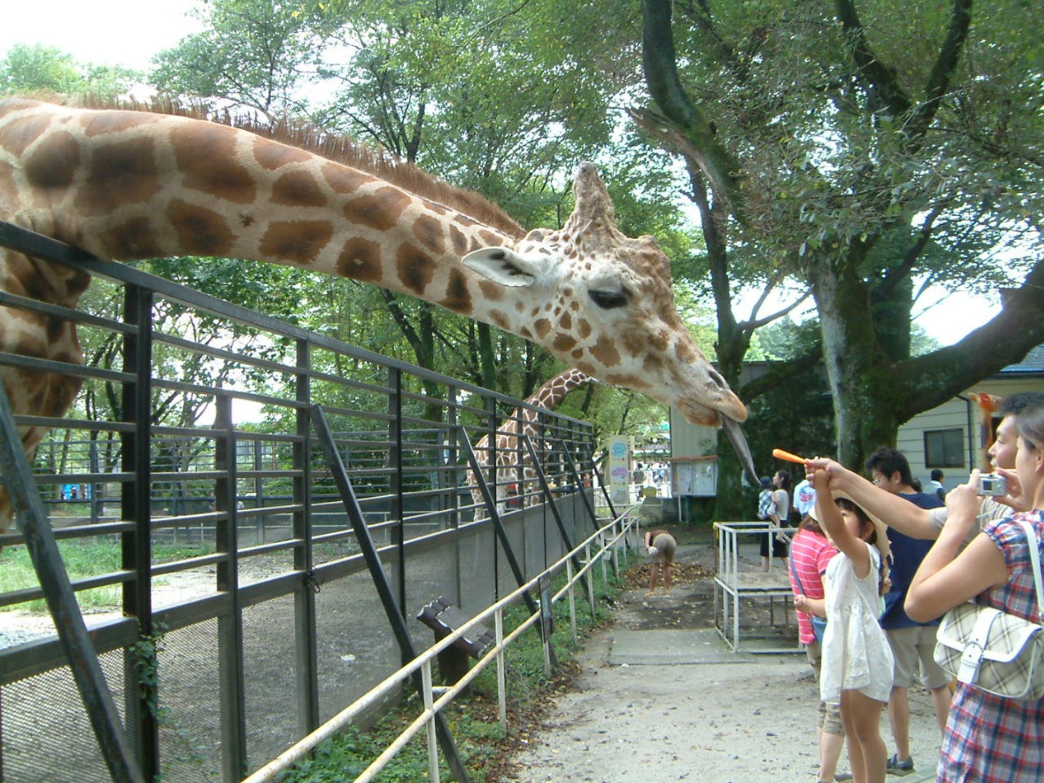 栃木 テーマパーク ウォーターパーク Live Japan 日本の旅行 観光 体験ガイド