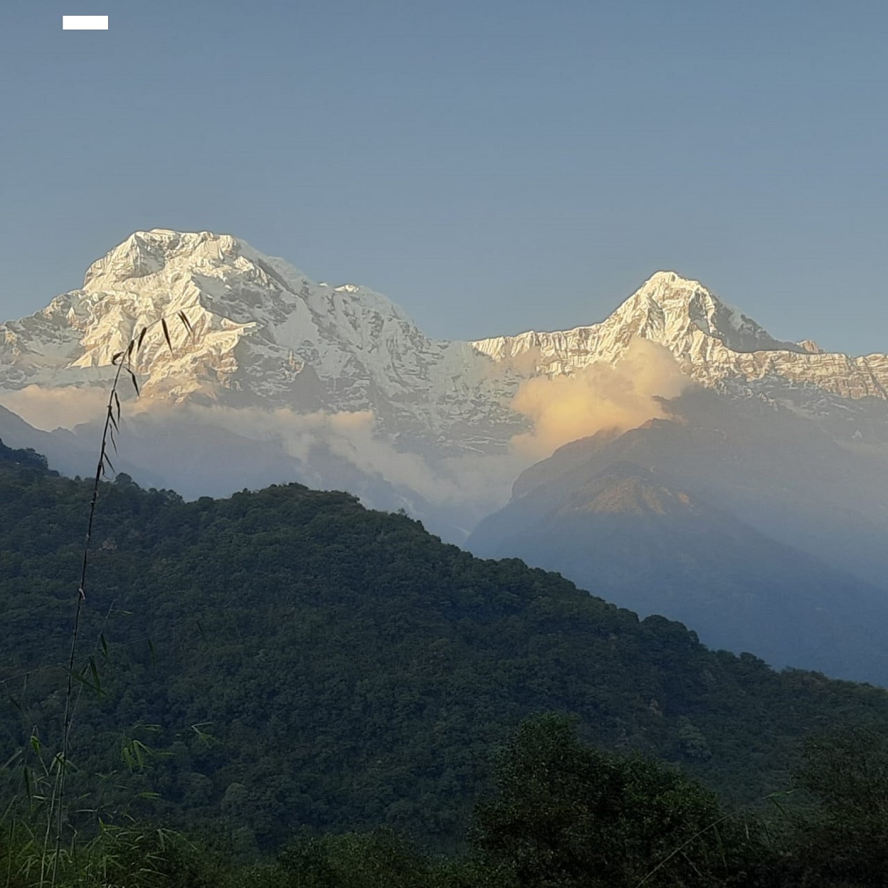 From Pokhara: 3-Day Ghorephani and Poon Hill Private Trek