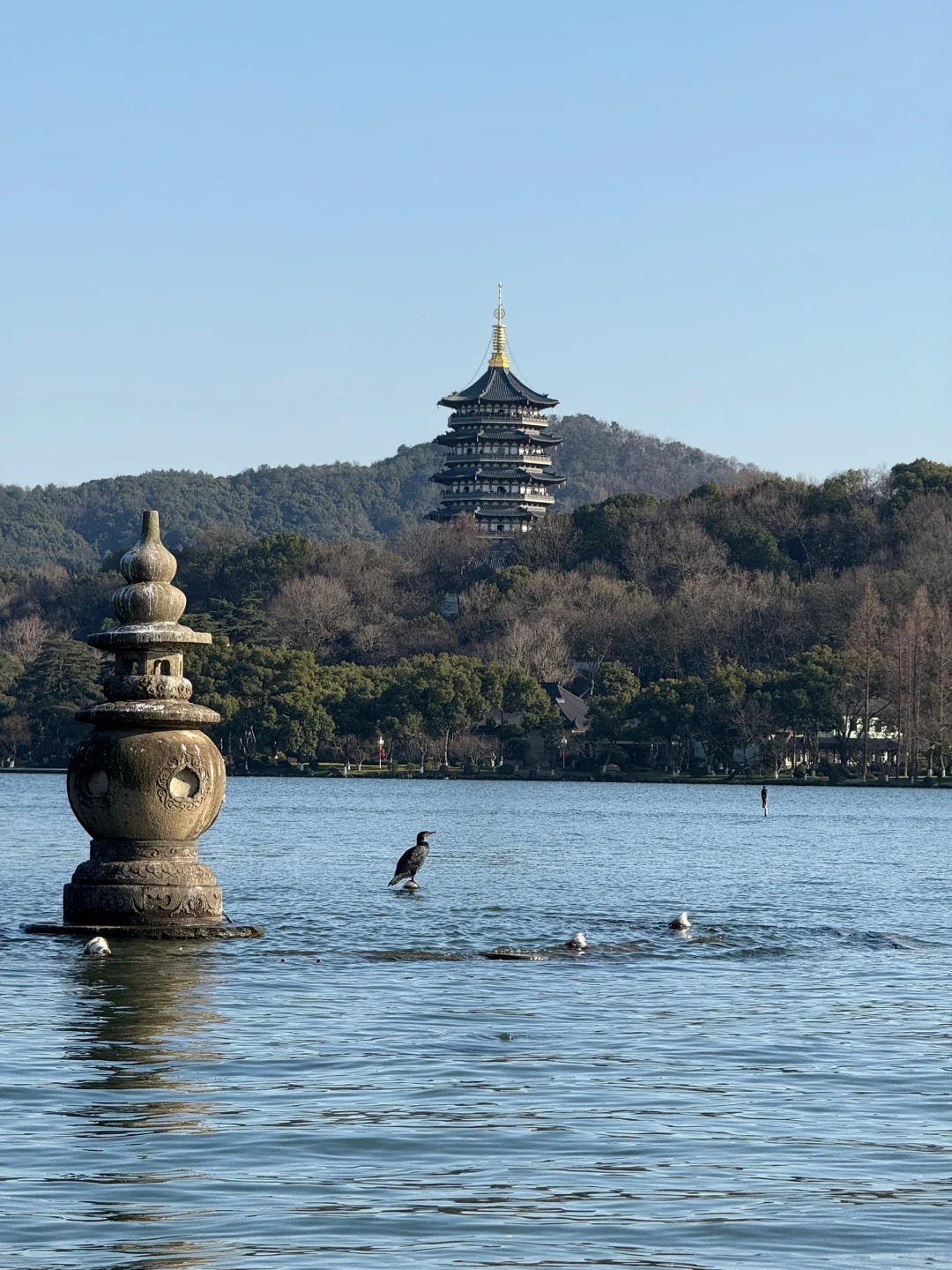 杭州西湖畫舫船登島+非遺畫扇體驗經典半日遊（賞三潭印月+花港觀魚+湖畔大學+烏龜潭+狀元坊）