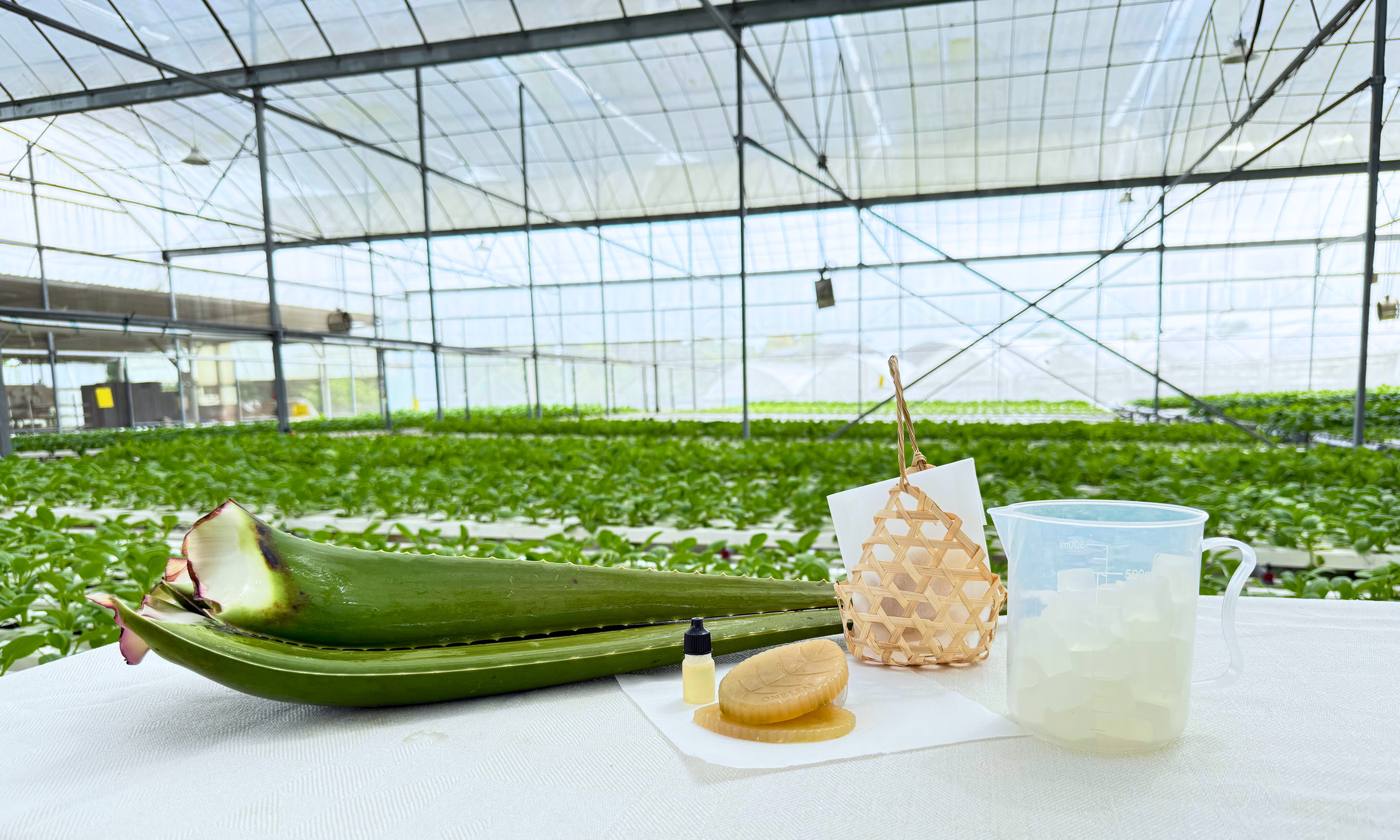 Farm-to-Table Culture: Leaf to Lather