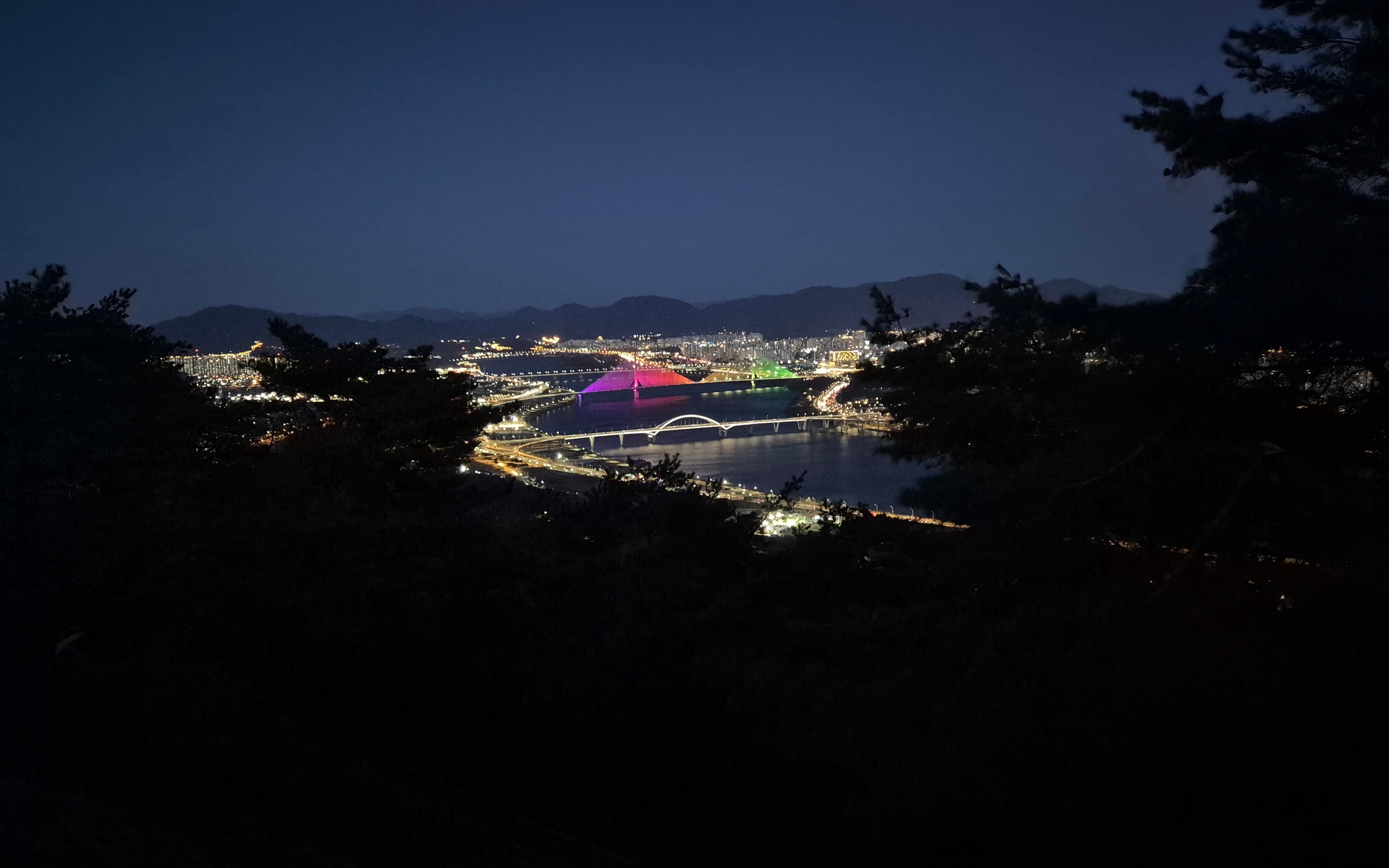 Easy Seoul Mountain Night Hike with River Views