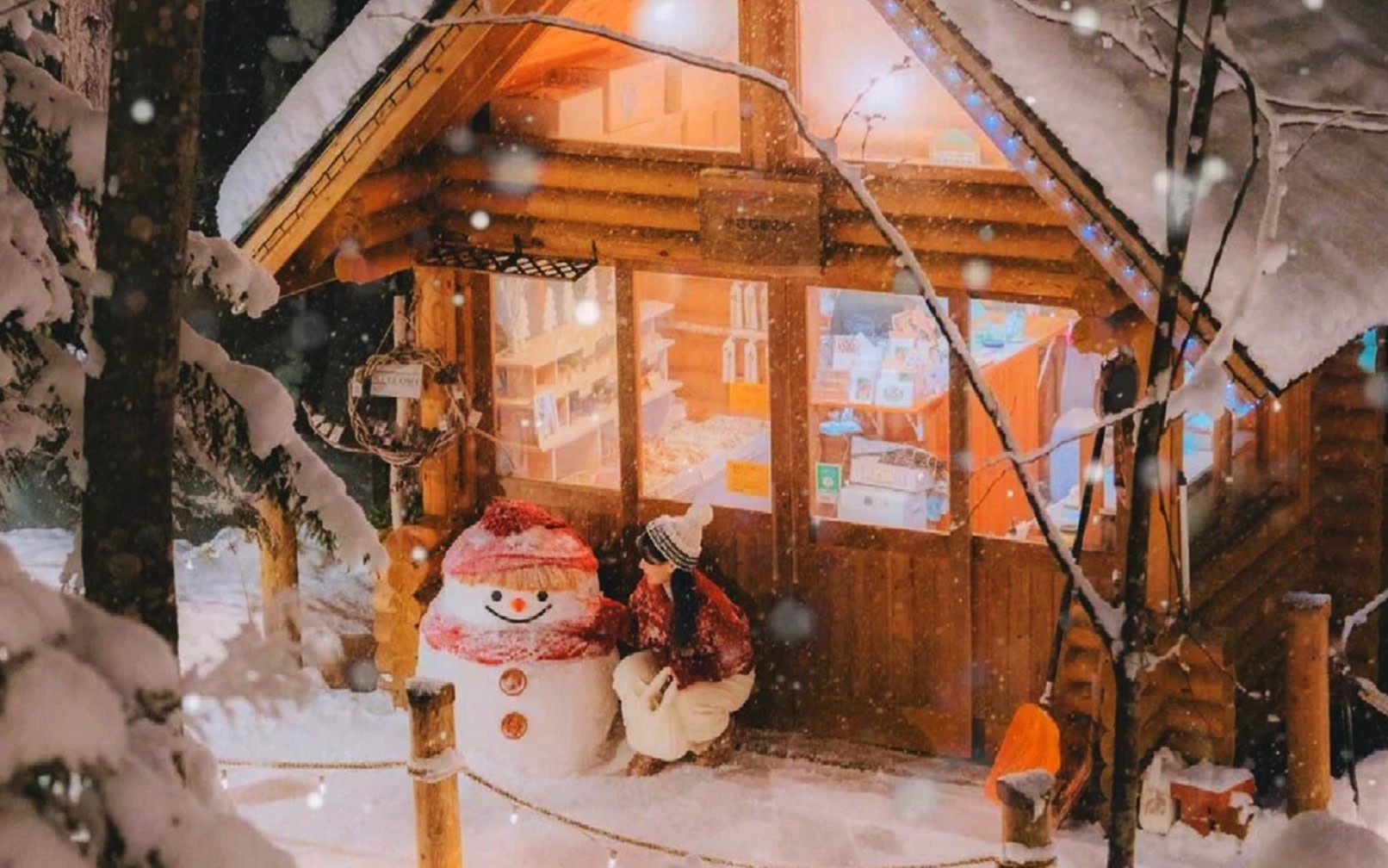 Hokkaido Seasonal Limited: Asahiyama Zoo, Furano, Blue Pond, Shirahige Falls, and Ningle Terrace Day Trip