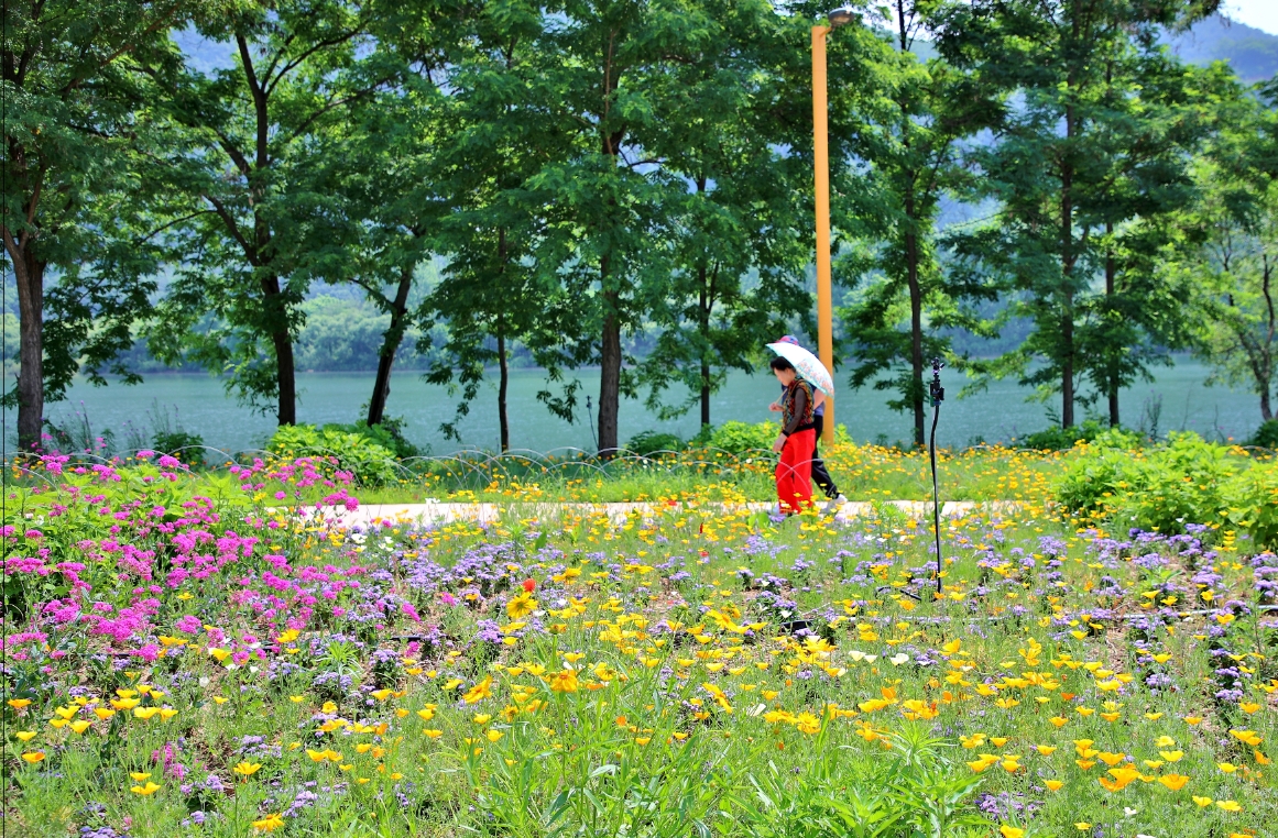 海棠花園 + 加平遊船 + 南怡島/加拉島一日遊