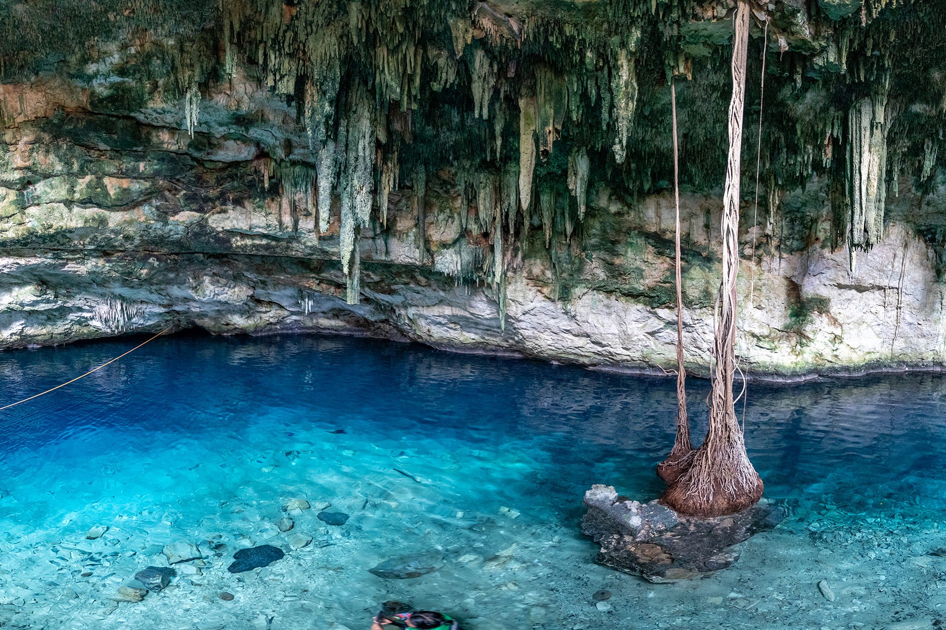 Snorkeling in the cenote, marveling at the vibrant underwater world of Yucatán