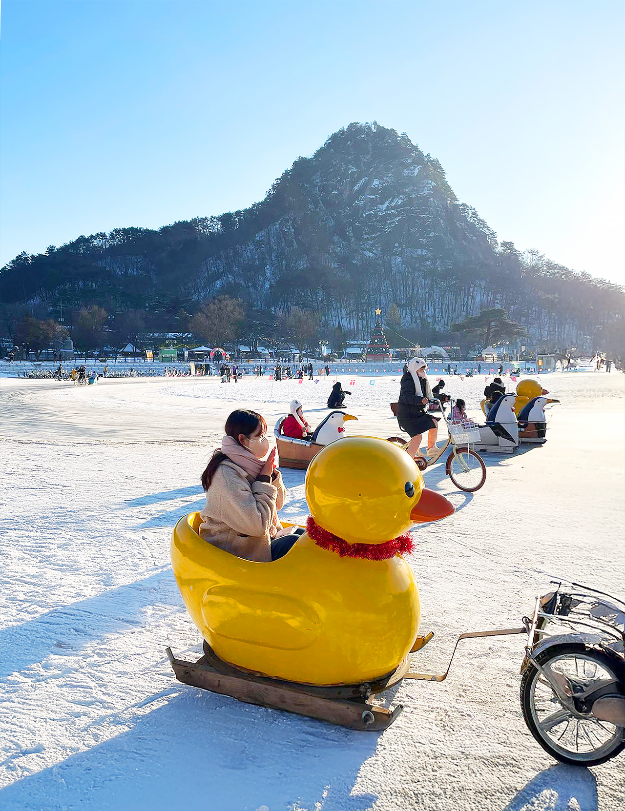 😊 在完全冰凍的山井湖上騎自行車和滑雪橇，享受獨特的冬季活動。