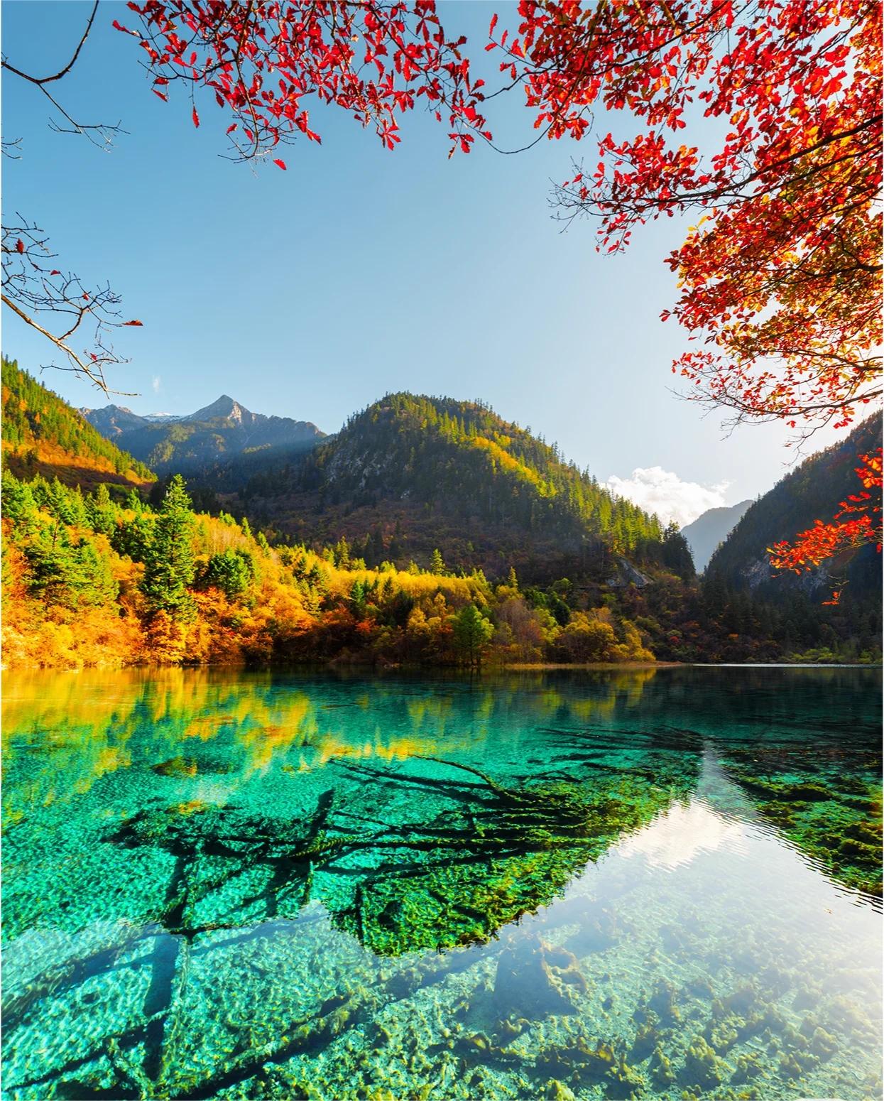 Chengdu Jiuzhaigou/Huanglong Scenic Area/Zuoergai Grassland Western Sichuan Multi-day Chartered Tour