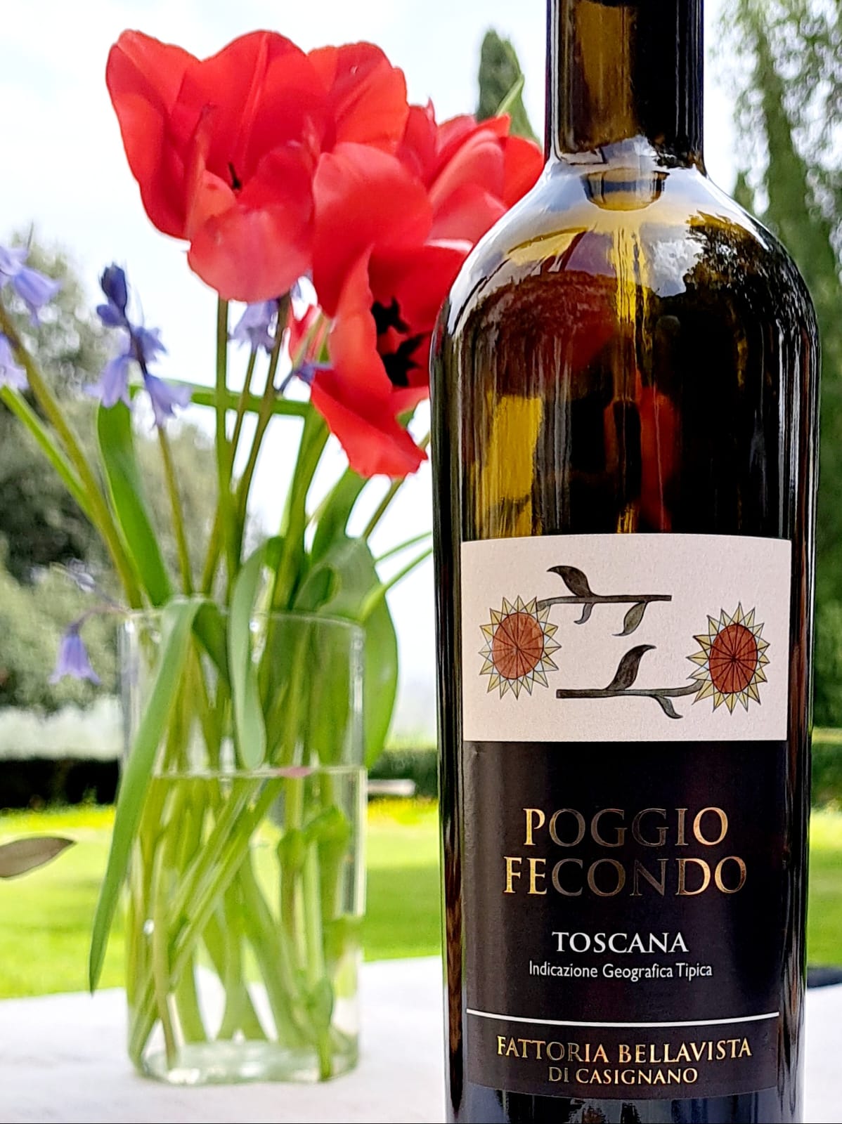 Tuscan Bites & Sips: Discover Tuscany Through Wine