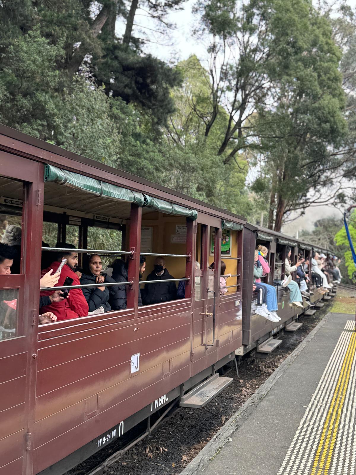 從墨爾本出發的普芬比利蒸汽火車 (Puffing Billy Steam Train) 之旅