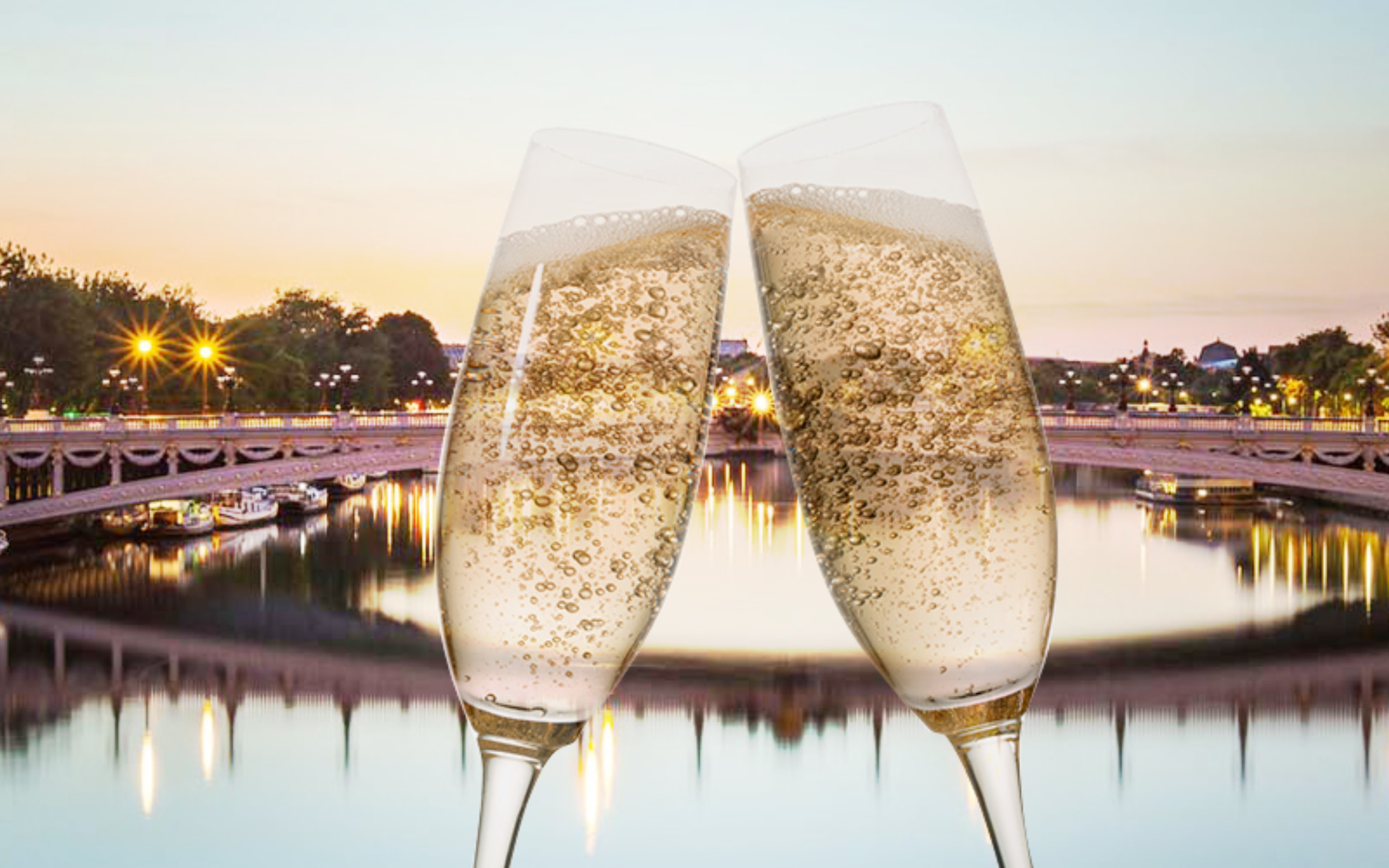 Sparkling Champagne Cruise on Bateaux Mouches in Paris