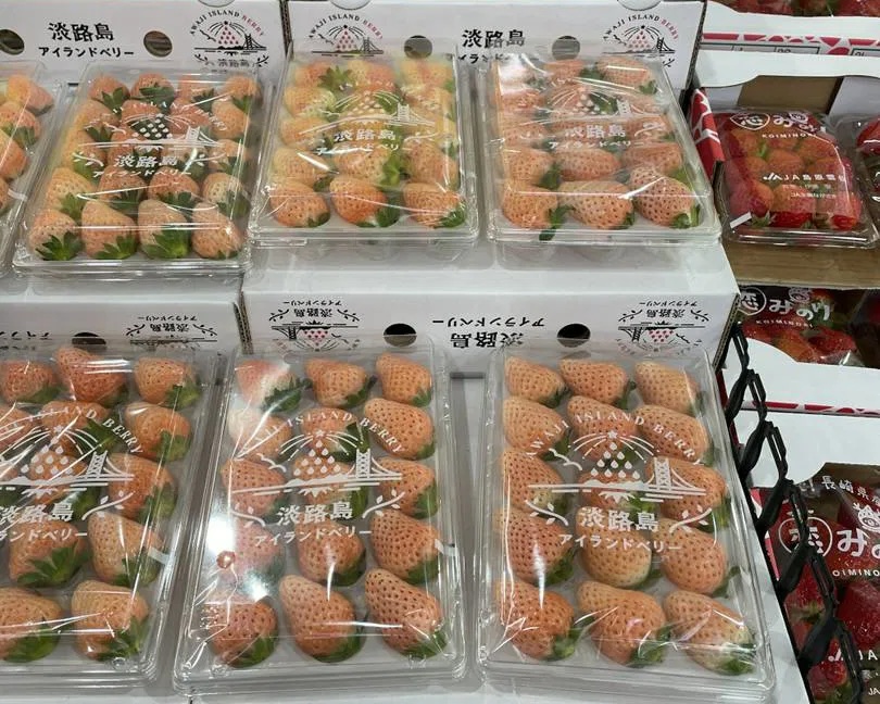 大阪櫻花美食之旅