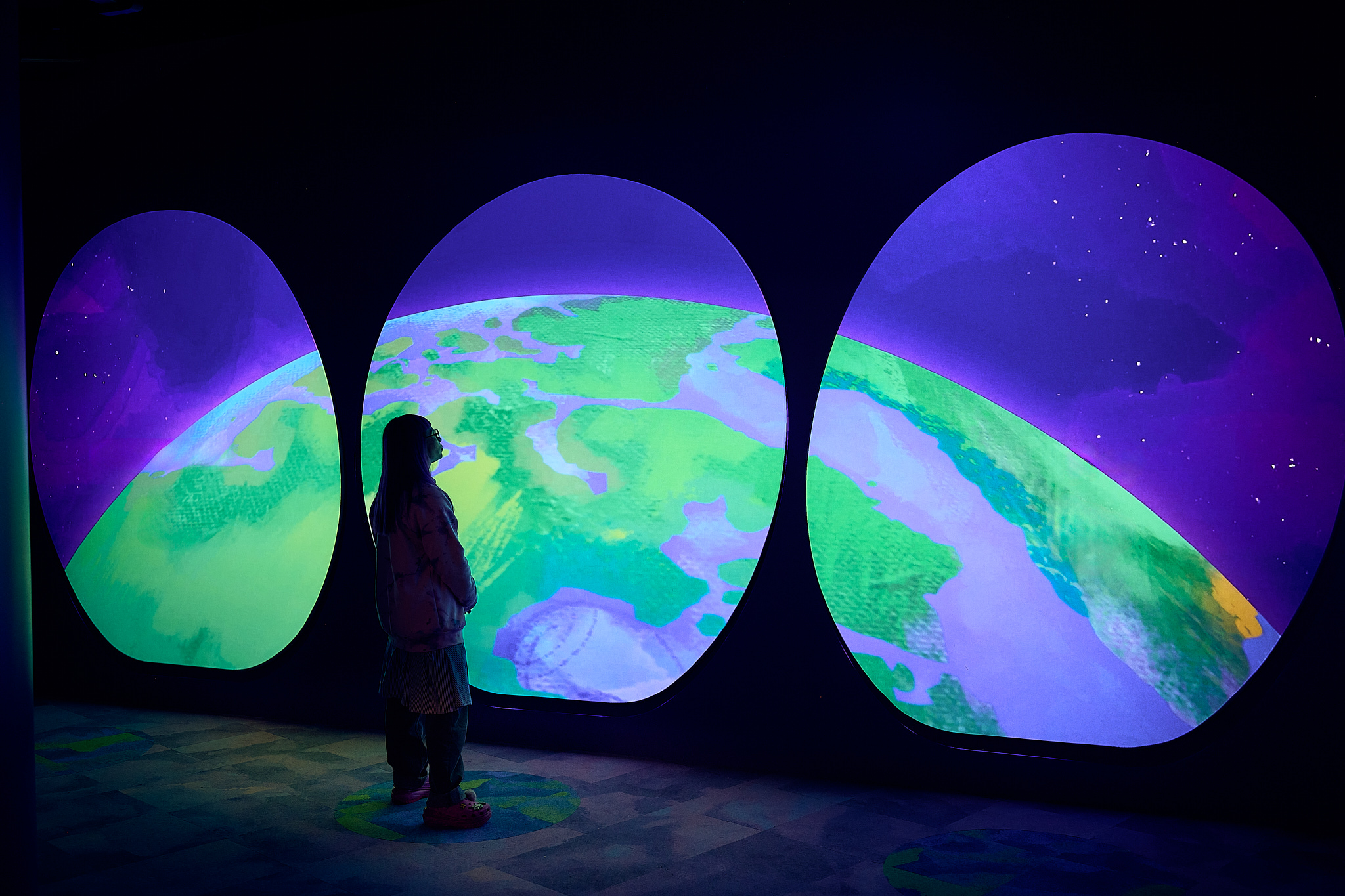 Explore interconnected ecosystems in immersive projections showcasing wildlife from soil through ocean
