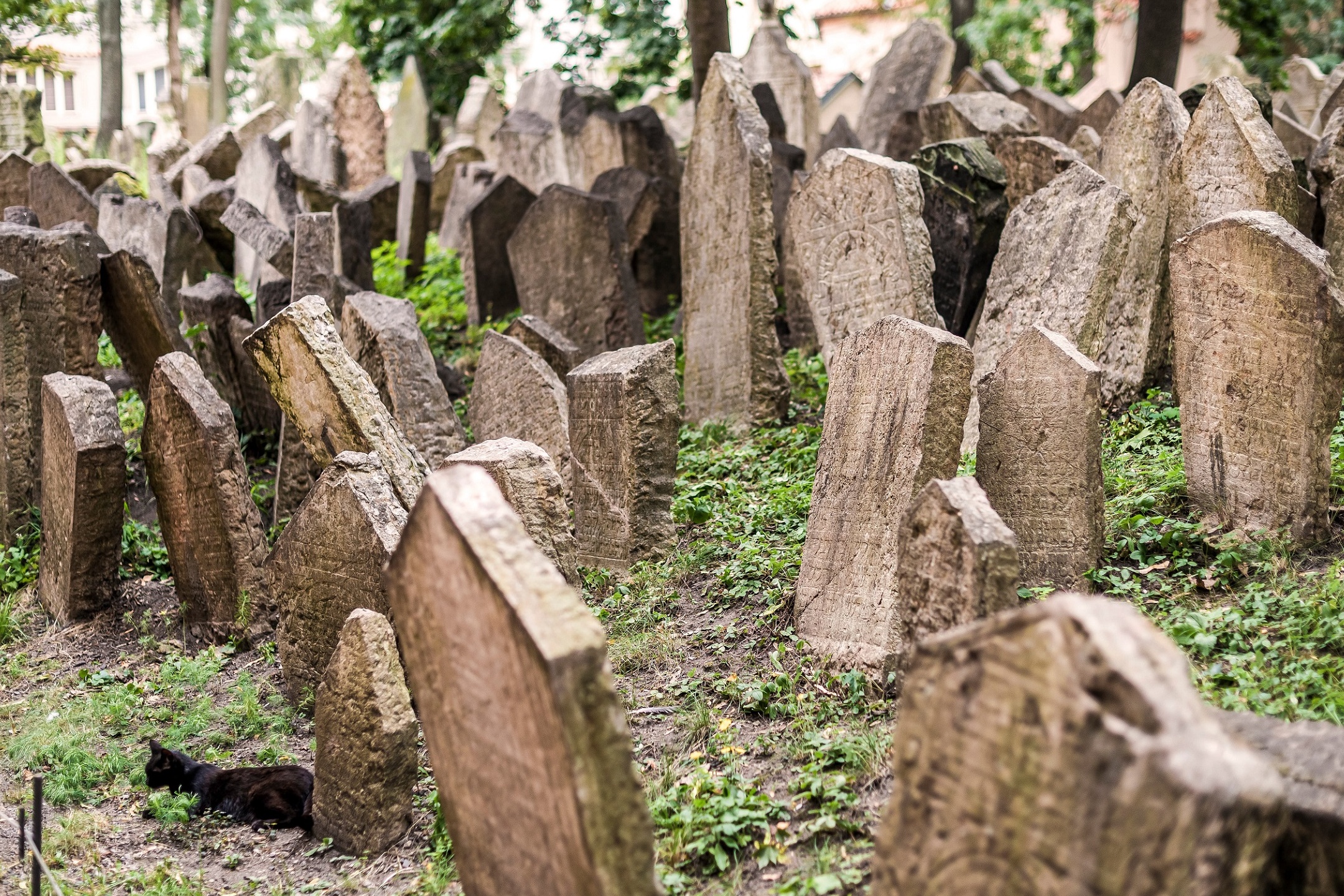 Jewish Quarter Walking Tour in Prague