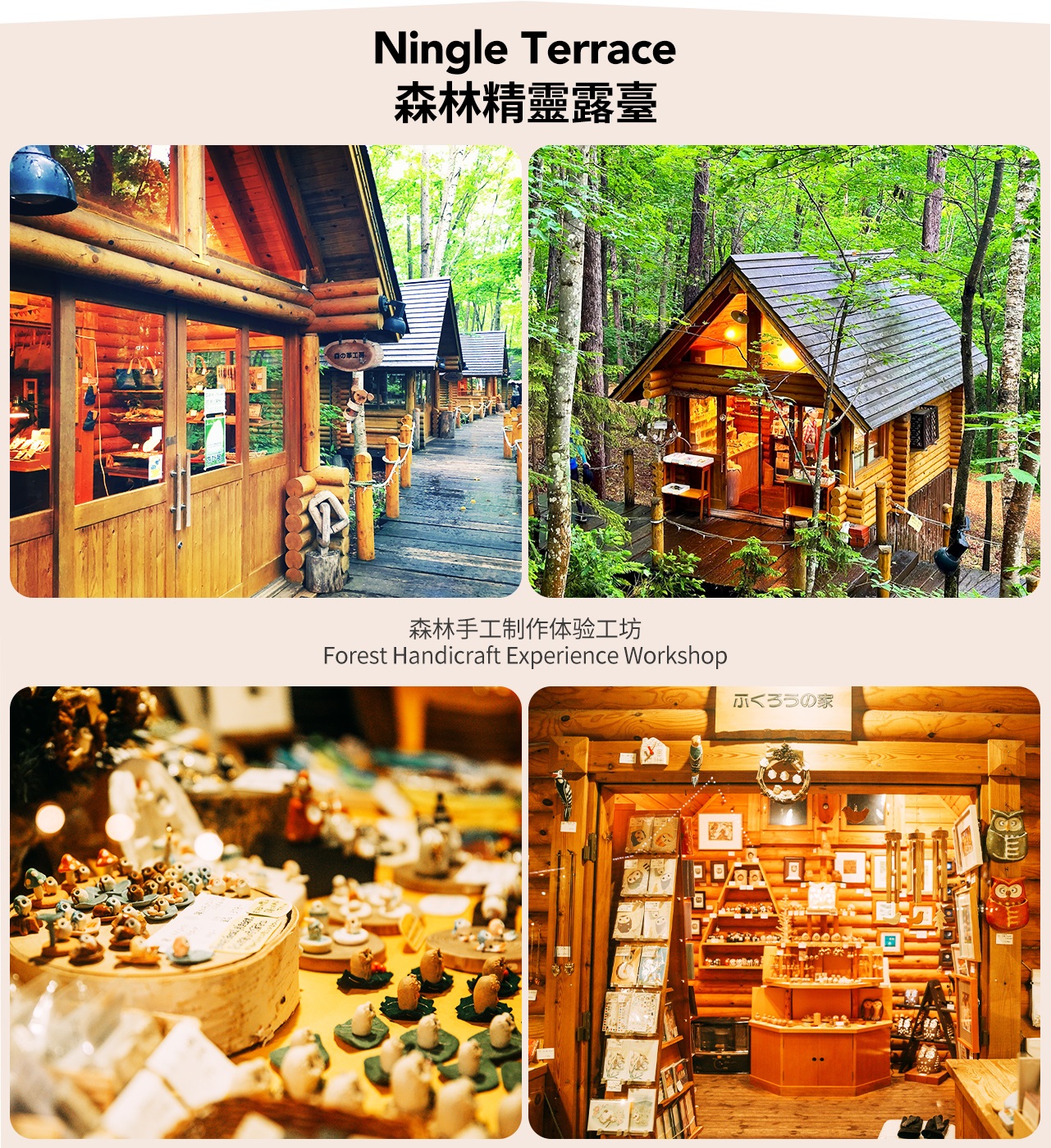 白金青池 & 森林精靈露臺 & 四季彩之丘/富田農場賞花一日遊 (札幌出發)