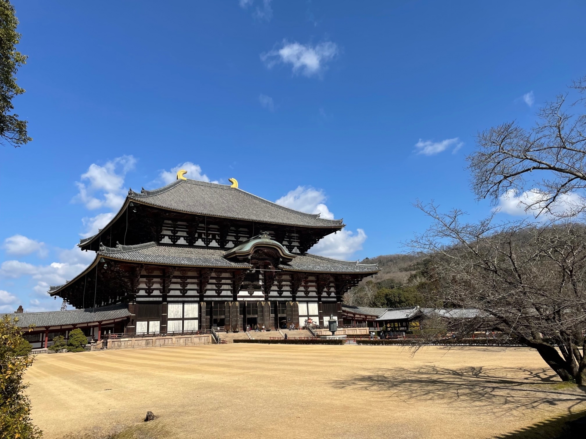 伏見稻荷大社＆嵐山 ＆奈良公園一日遊（大阪／京都出發）