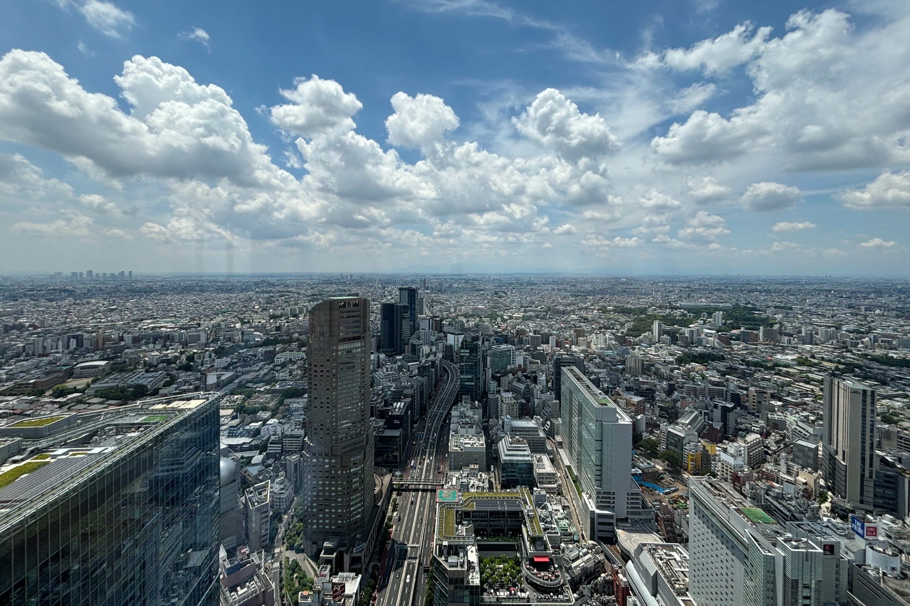 東京市區新宿 / 澀谷購物之旅（隨行翻譯）