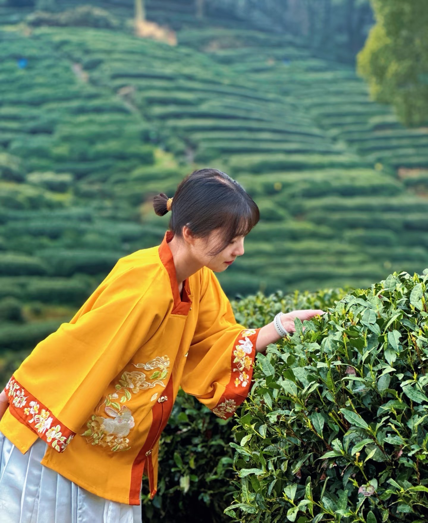 穿著傳統服飾去採茶