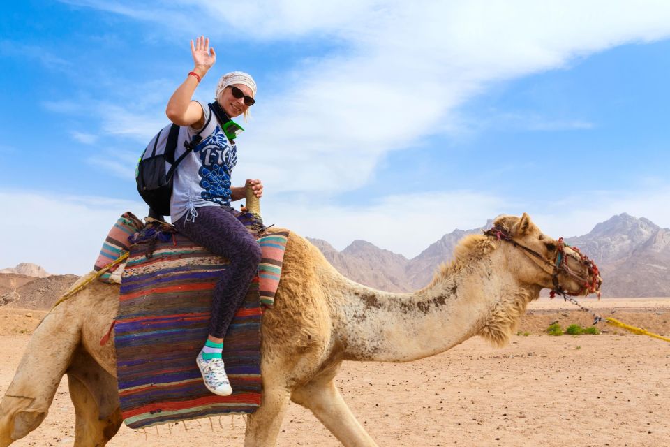 Sharm El Sheikh: Dune Buggy, Horse & Camel Ride with Breakfast