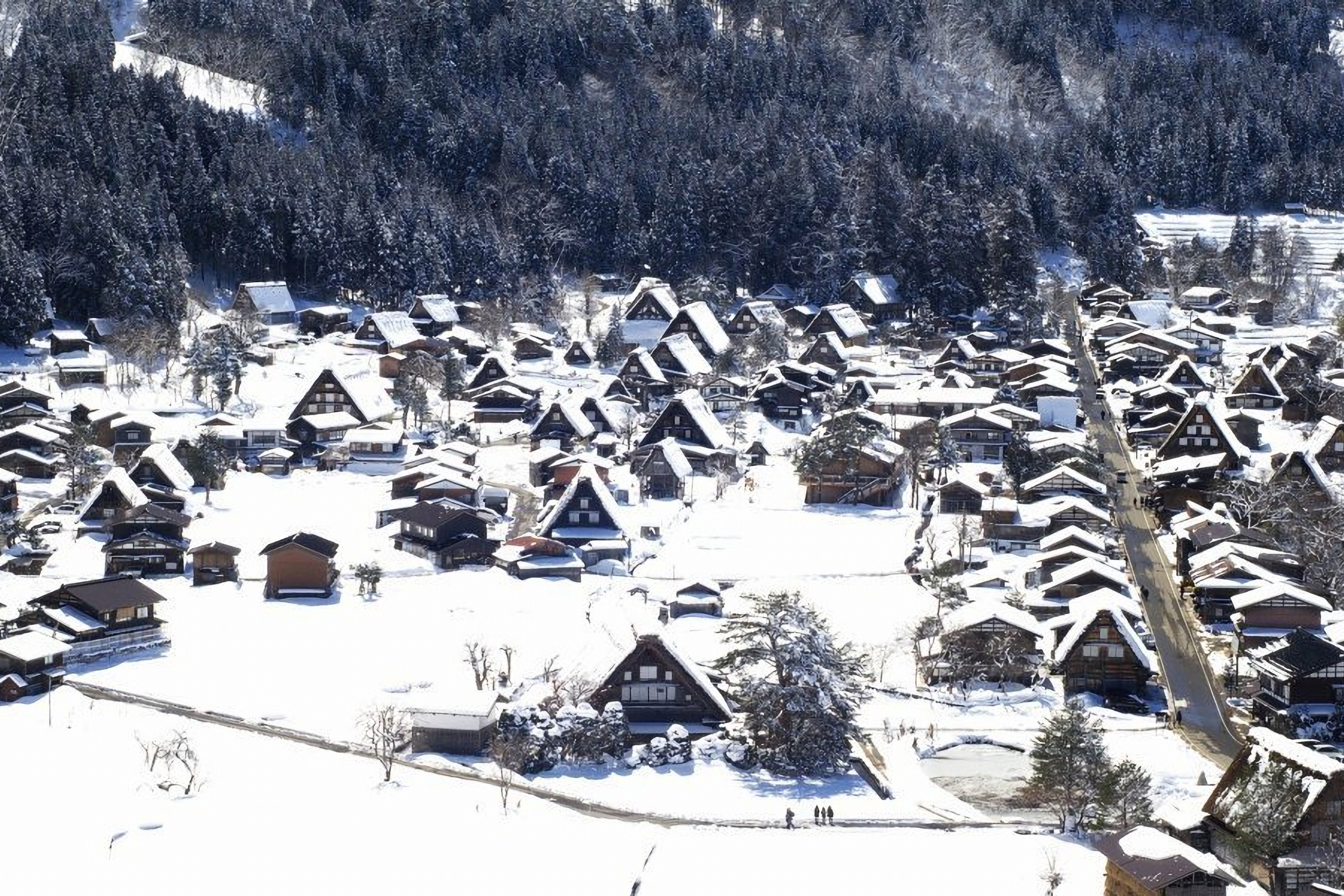 Shirakawago & Hida Takayama & Gujo Hachiman One Day Tour from Nagoya