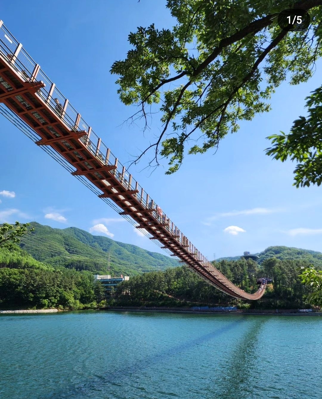 DMZ吊橋 & 遊船一日遊（首爾出發）