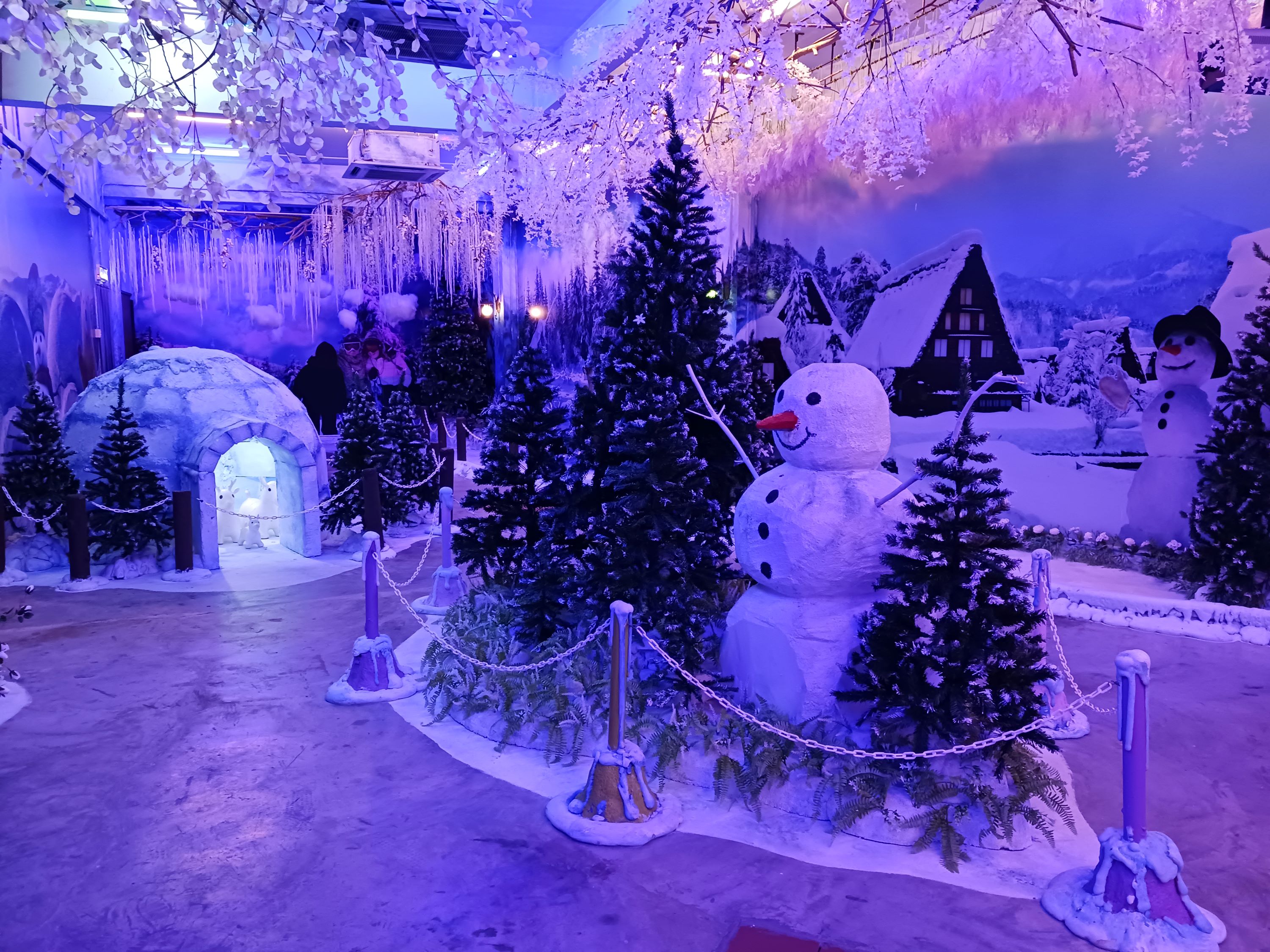 Hutan Salji Snow Forest Ticket