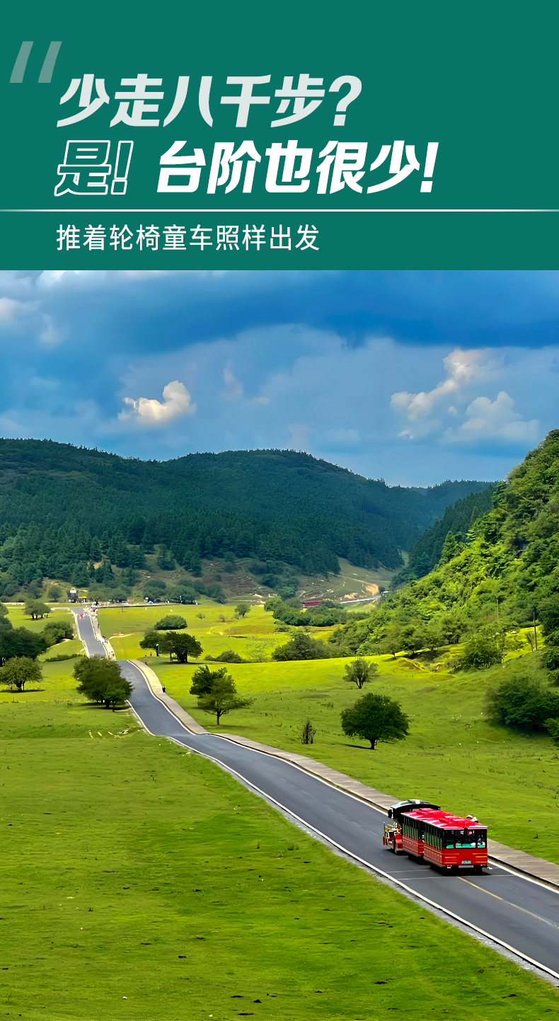 重慶武隆天生三橋仙女山國家森林公園一日遊（不坐景區大巴+小車開進仙女山）適合帶娃出行