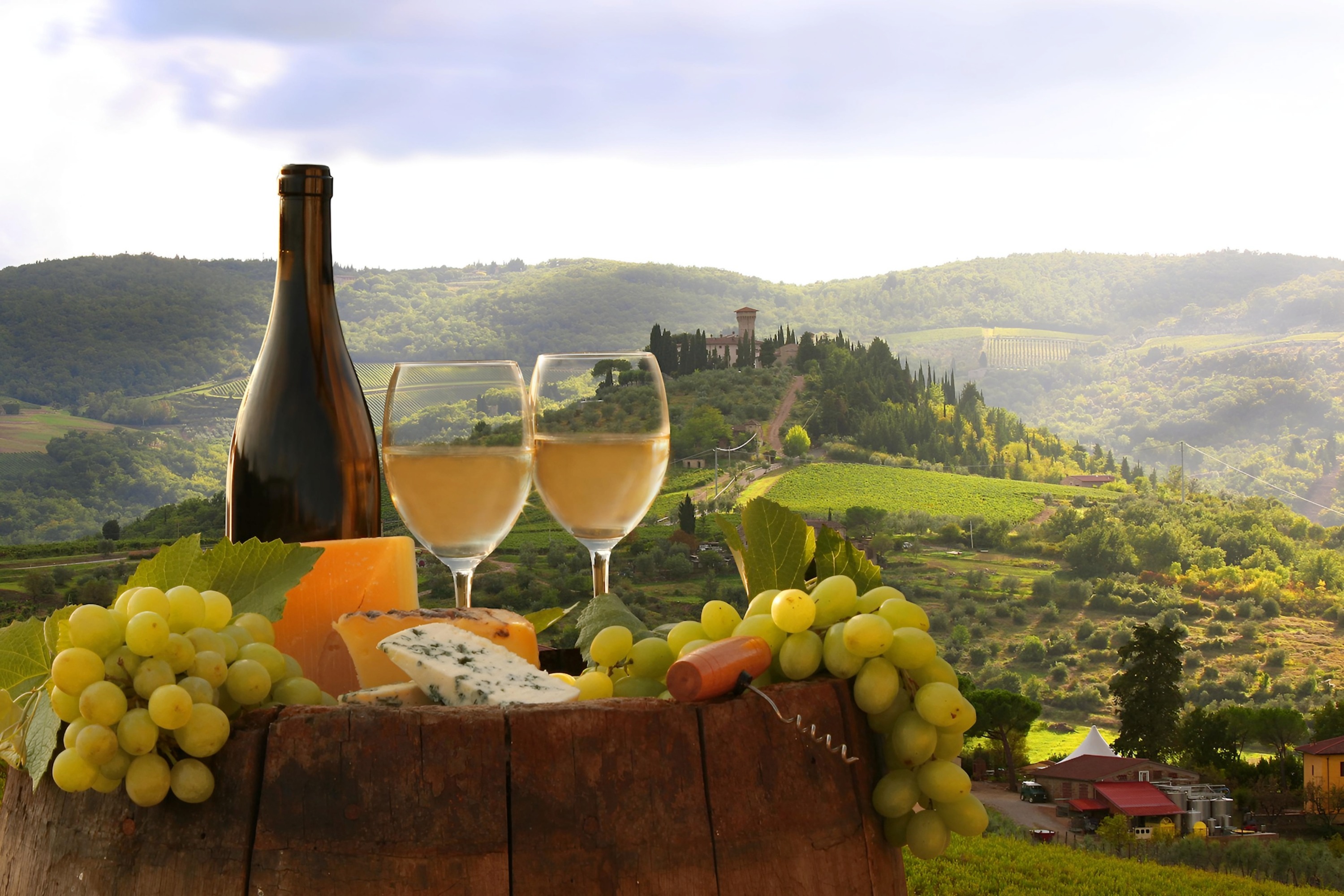 Tbilisi: Kakheti, Signaghi, & Chateau Tour with Wine Tasting