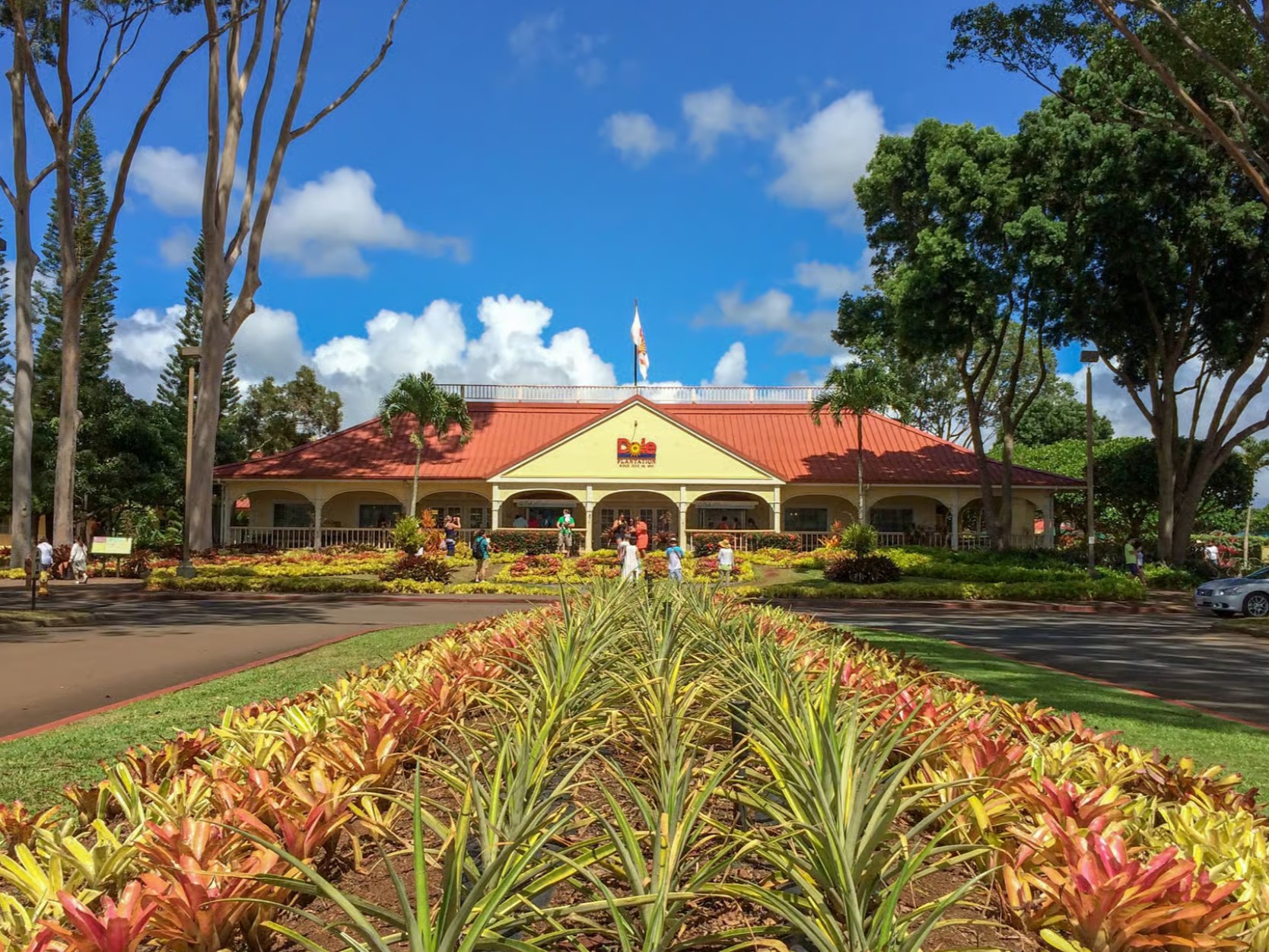 在歐胡島,鬱鬱蔥蔥的花園和菠蘿田環繞著著名的都樂種植園(Dole Plantation) 在歐胡島,鬱鬱蔥蔥的花園和菠蘿田環繞著著名的都樂種植園(Dole Plantation)