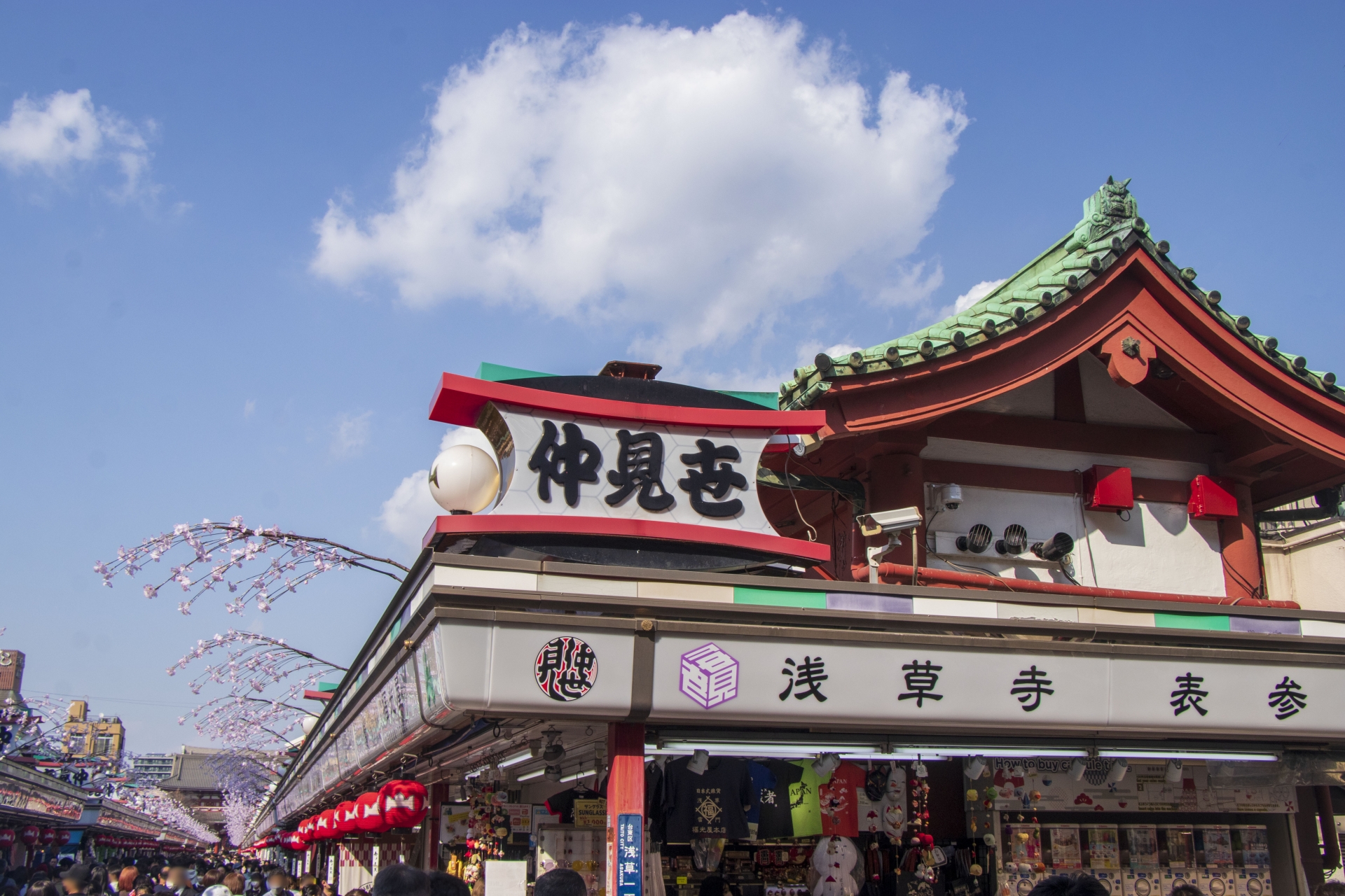 [Depart from Ueno/Tokyo] Tokyo Landmarks Bus Day Tour｜Meiji Jingu Shrine & Imperial Palace & Sensoji Temple & Tokyo Bay Cruise & Odaiba (Chinese/English Tour Guide)