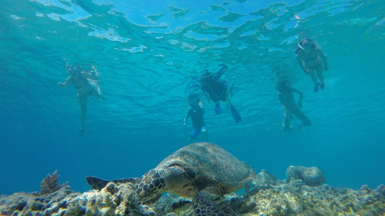 印尼龍目島Gili Trawangan＋Gili Meno＋Gili Air私人浮潛一日遊