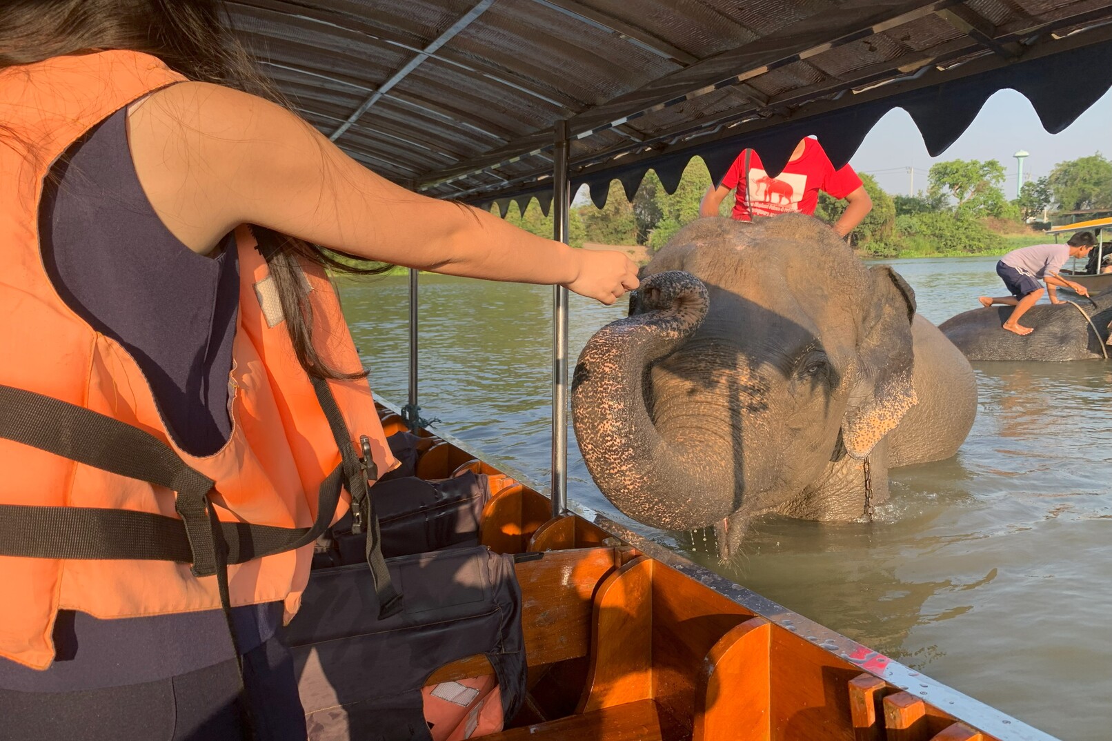 Let's go meet the elephants by boat! Half-day tour of the World Heritage Ayutthaya Ruins (From Bangkok / with Japanese guide) (EB)