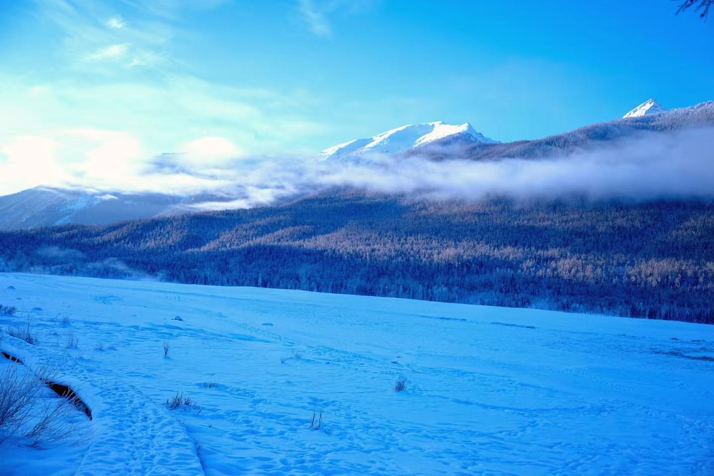 遼闊雪原綿延向前，雲霧纏繞雪山山腰。淡藍天光鋪灑大地，林海靜臥山谷，蒼茫遼闊，氛圍感十足