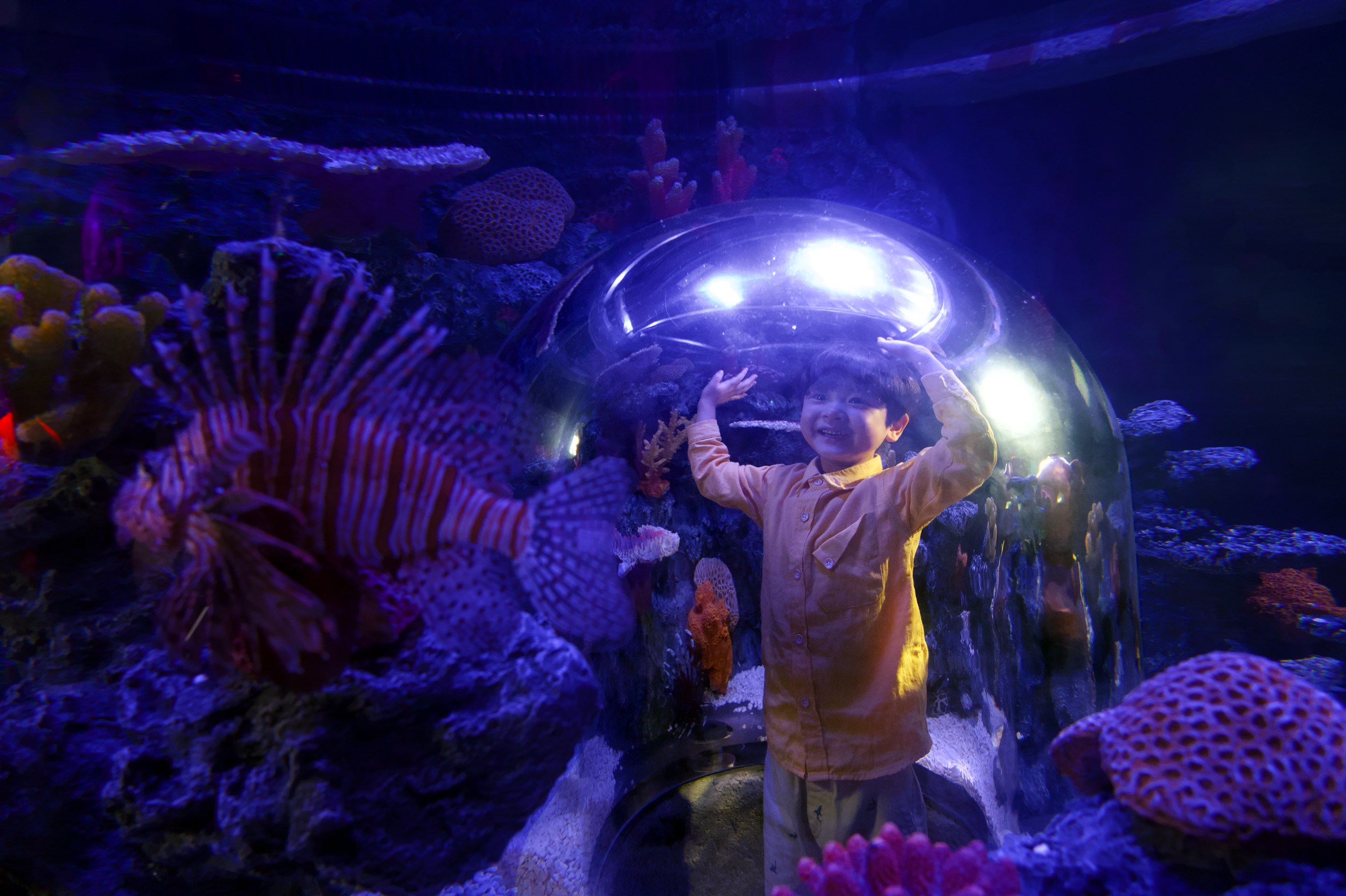 The newly opened Sea at Night is a jellyfish zone brought to life with immersive media art. Step into the darkness and discover the magical secrets of the ocean, revealed by these glowing wizards of the sea