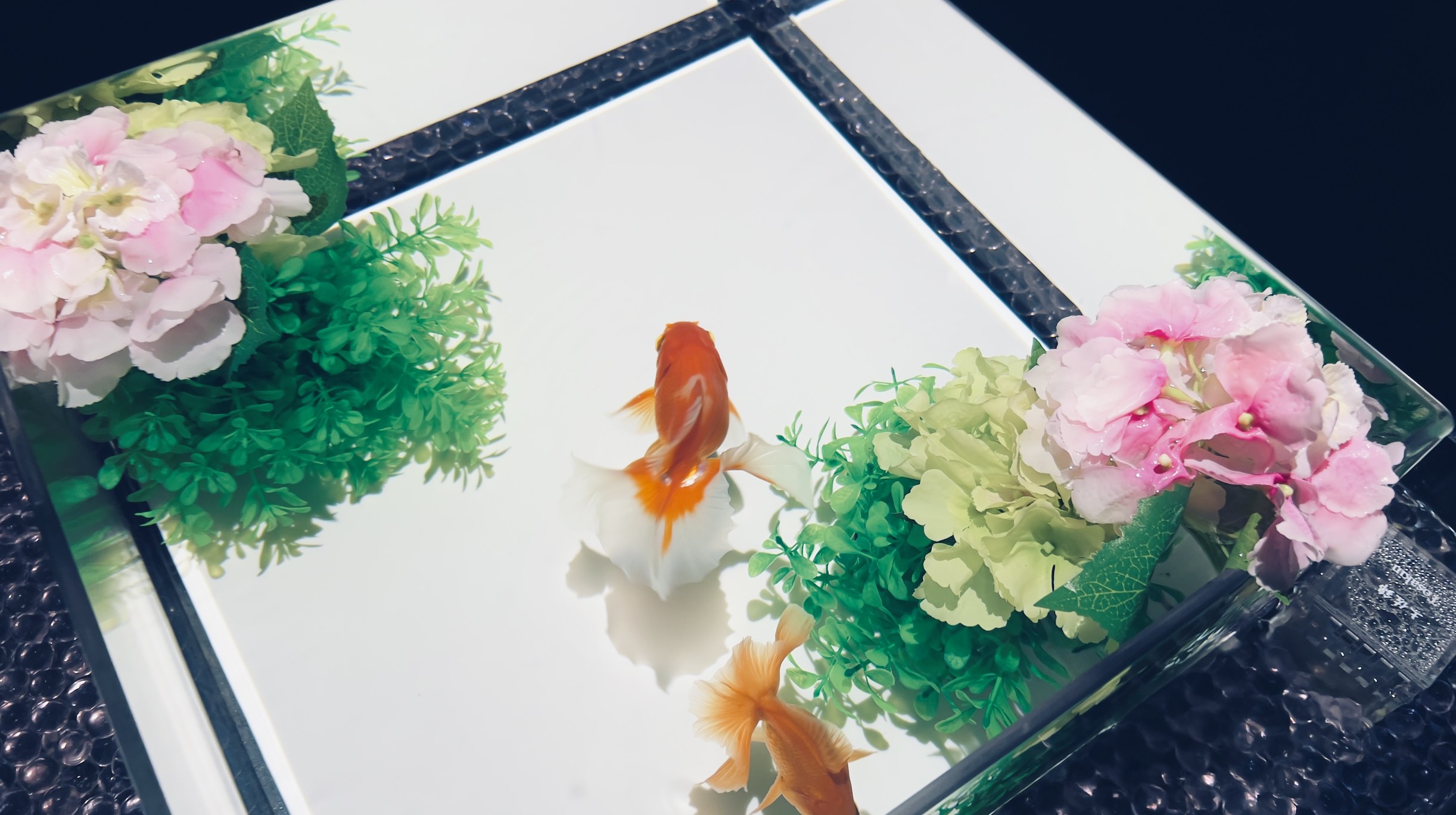 東京銀座藝術水族館門票