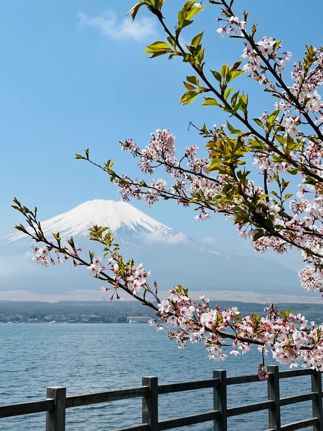 兩日遊：東京市區／富士山／箱根／鎌倉／橫濱／日光／伊豆東京包車含司機