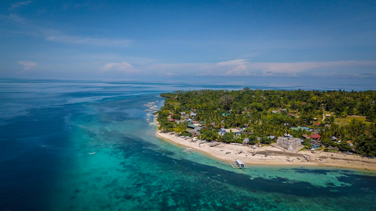 Pamilacan Island Tour in Bohol