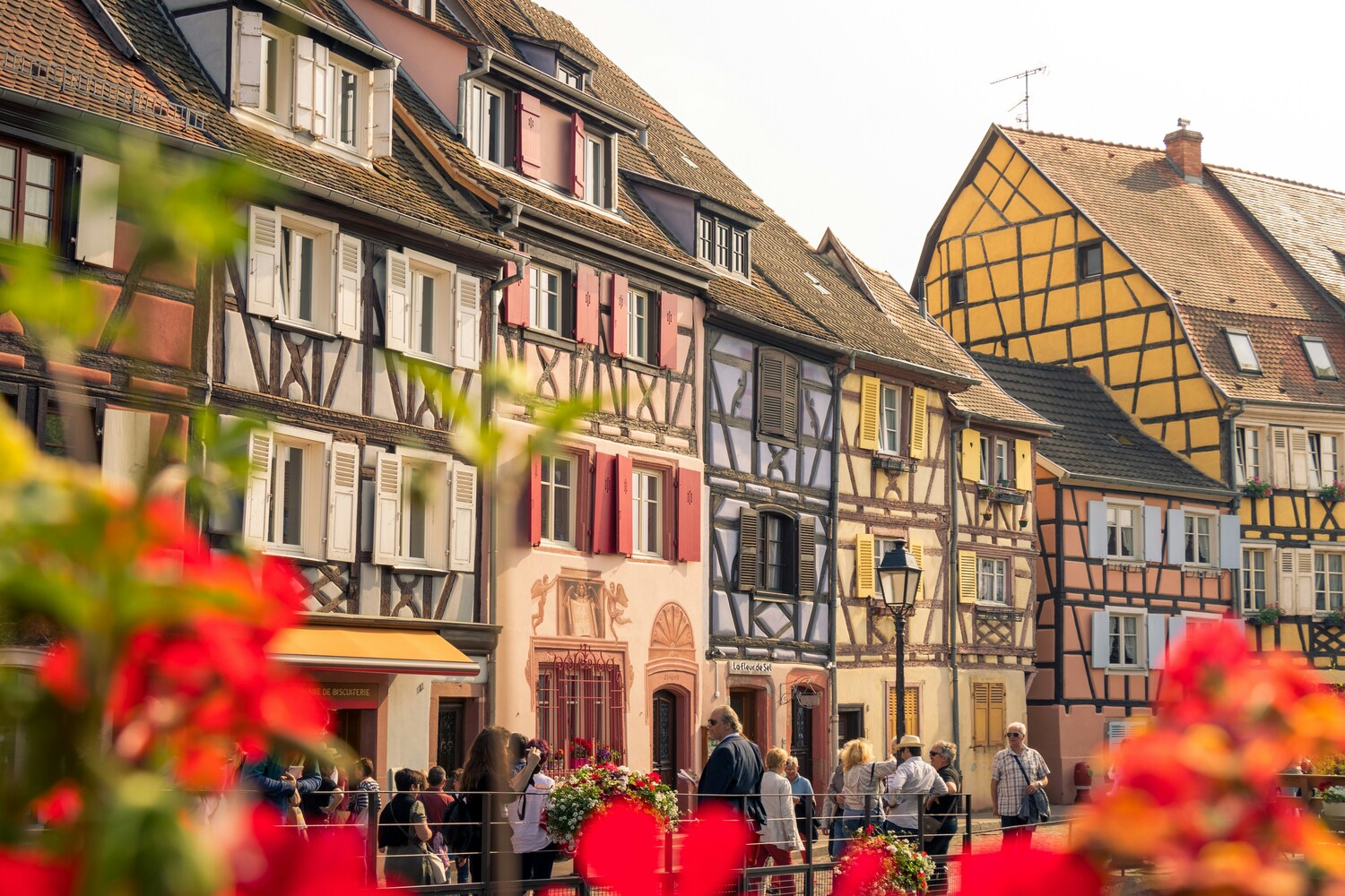 Strasbourg, Colmar, Eguisheim, Riquewihr: Private Tour