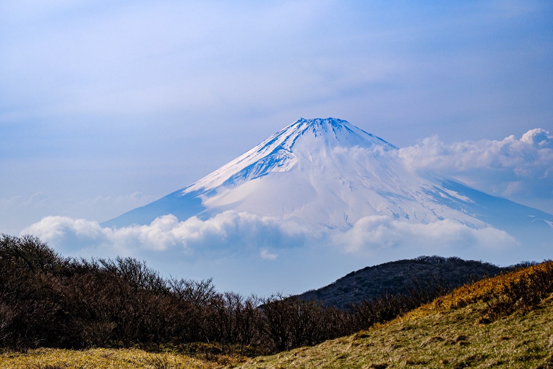駒ヶ岳山頂在視野良好的時刻,遠方富士山清晰可見,雄偉的山形令人讚嘆。作為日本最具代表性的自然地標,能親眼目睹富士山身影,為行程增添難忘回憶。 駒ヶ岳山頂在視野良好的時刻,遠方富士山清晰可見,雄偉的山形令人讚嘆。作為日本最具代表性的自然地標,能親眼目睹富士山身影,為行程增添難忘回憶。