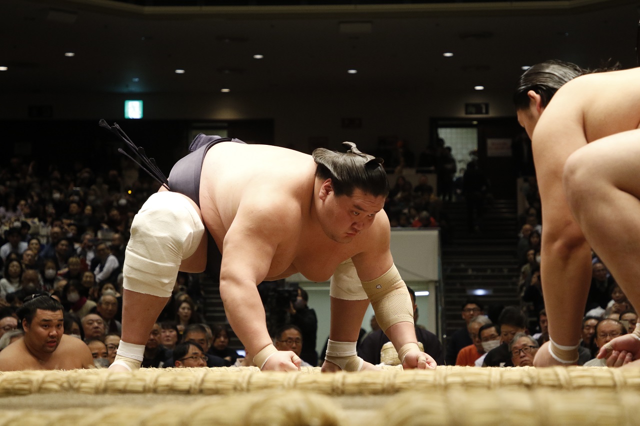東京大相撲錦標賽觀賽體驗