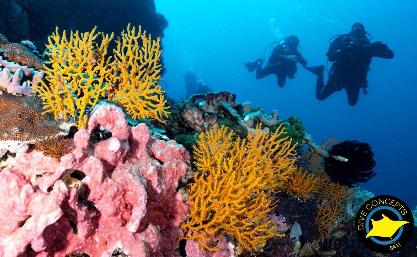 圖蘭奔開放水域潛水2日課程（巴厘島Dive Concepts提供）