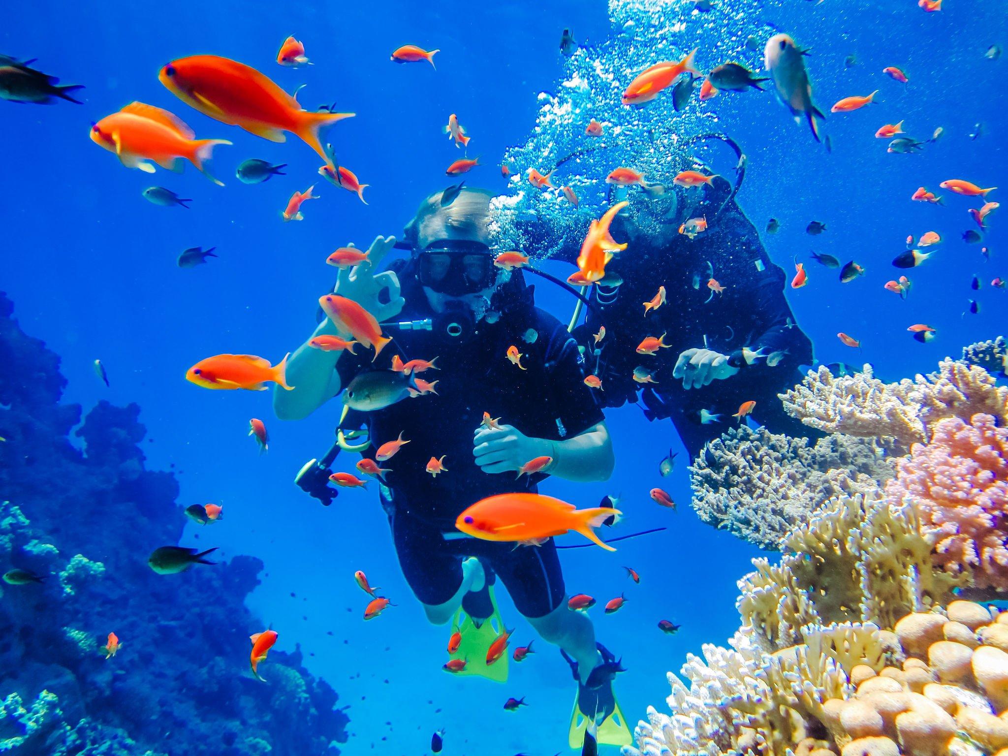 Professional Scuba Diving Adventure W/Lunch – Sharm El Sheikh