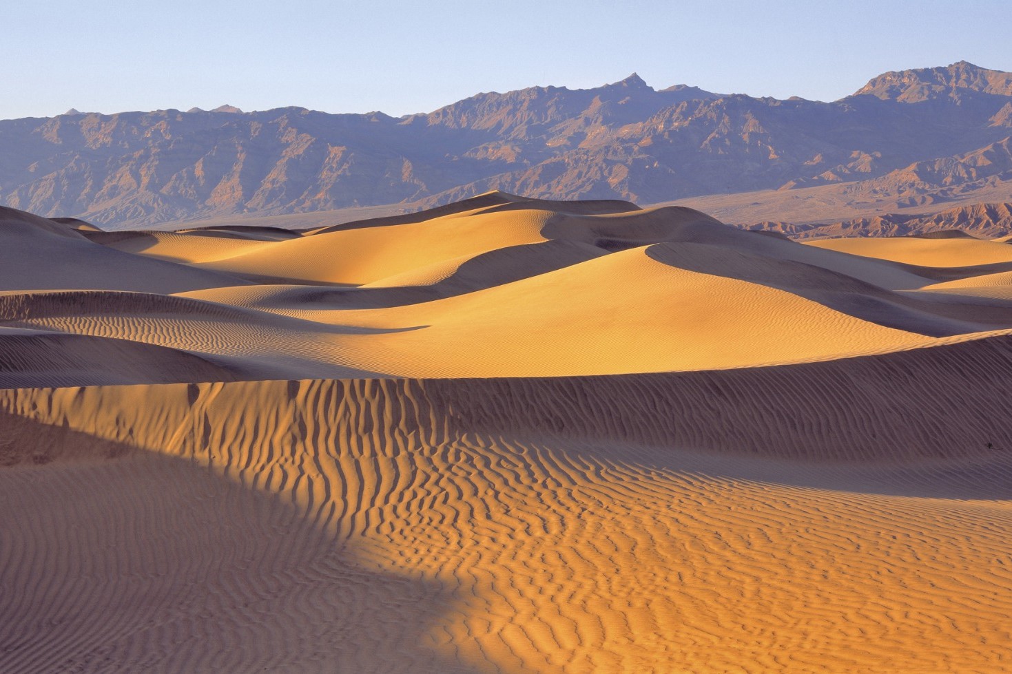 Las Vegas Death Valley National Park One Day Guided Tour