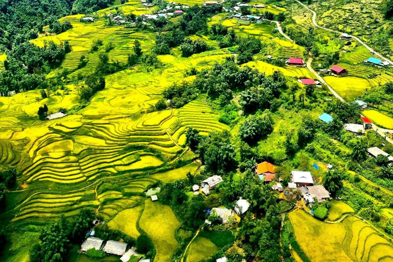 Y Linh Ho - Lao Chai - Ta Van Village Trekking - Day Tour