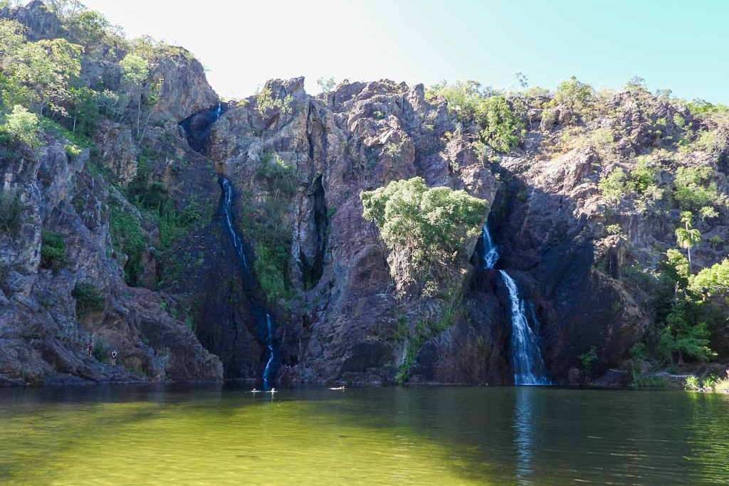 李治菲特國家公園（Litchfield National Park）一日遊