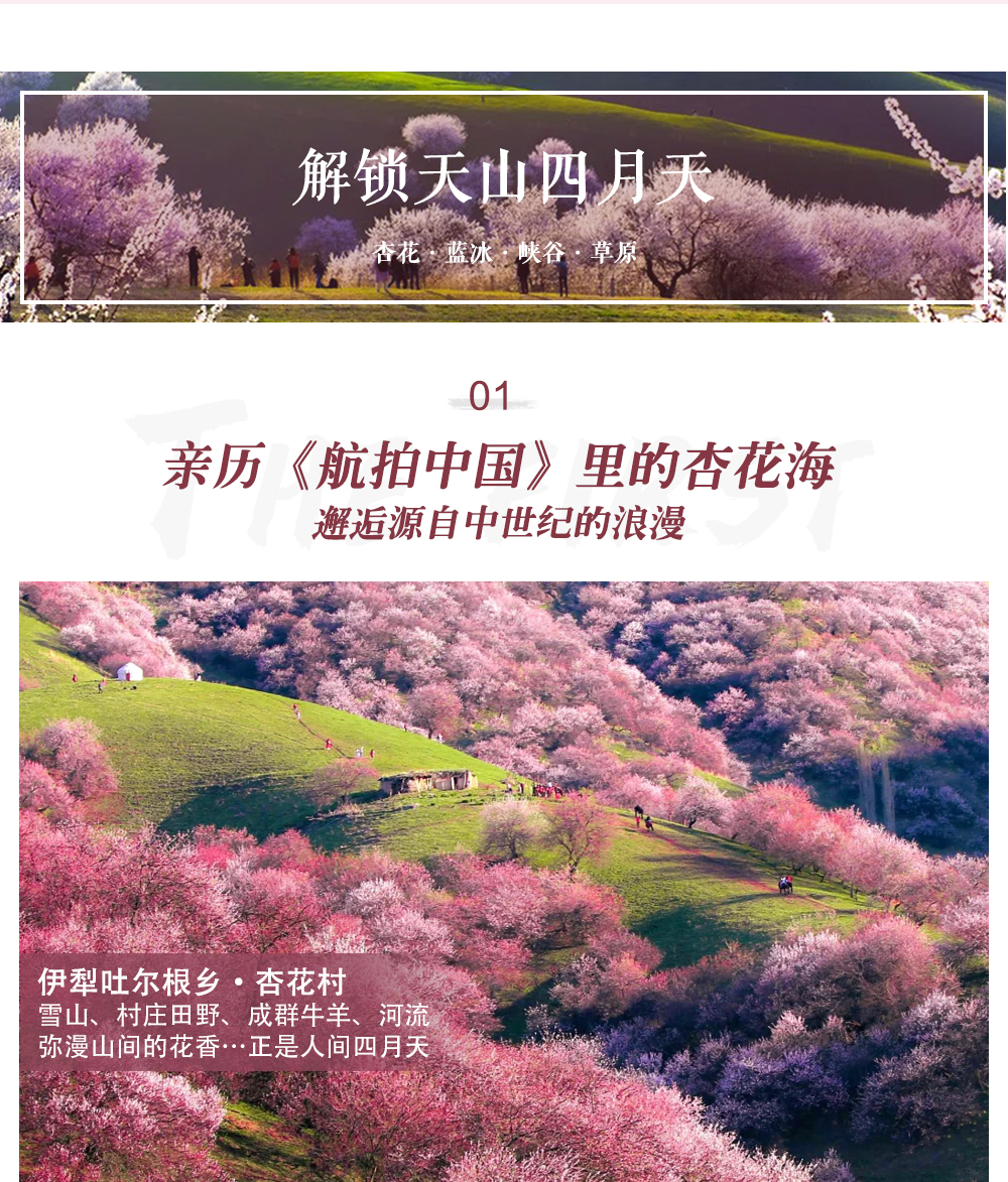 新疆伊犁杏花私家6日（克魯格野奢營地+那拉提度假農莊+360°潮剋星空玻璃屋+吐爾根杏花村+賽里木湖環湖+圍爐煮茶+喀贊其+烏進伊出）